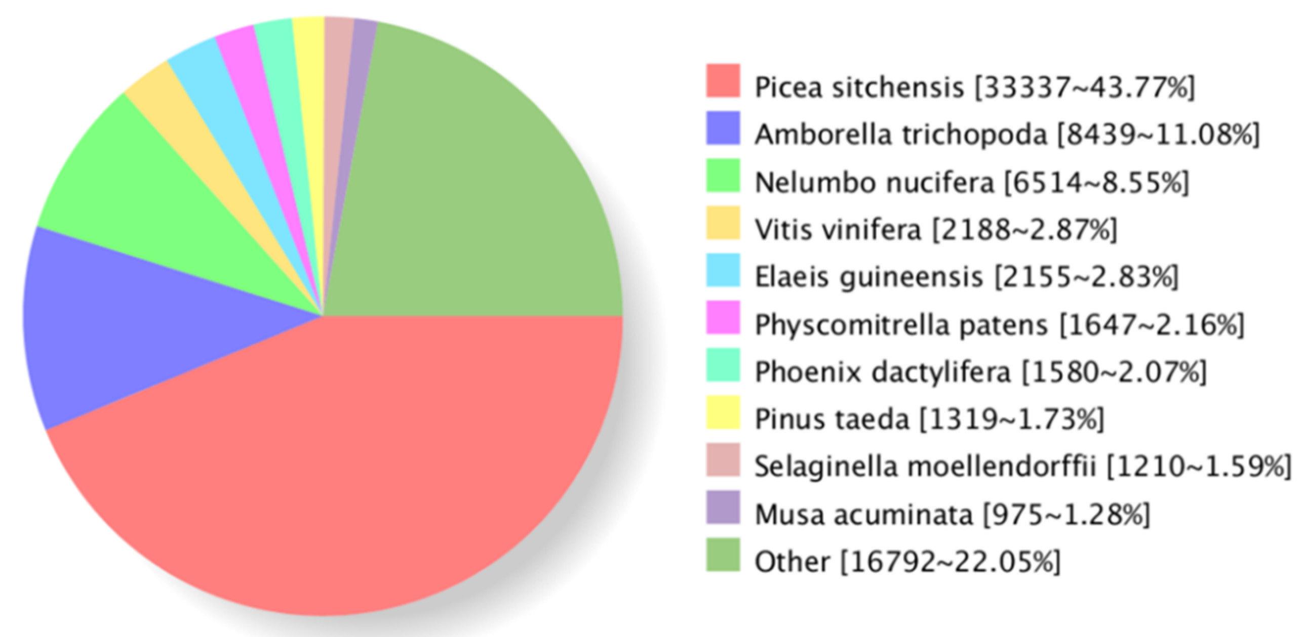 Forests 10 00942 g002 Forests 10 00942 g002