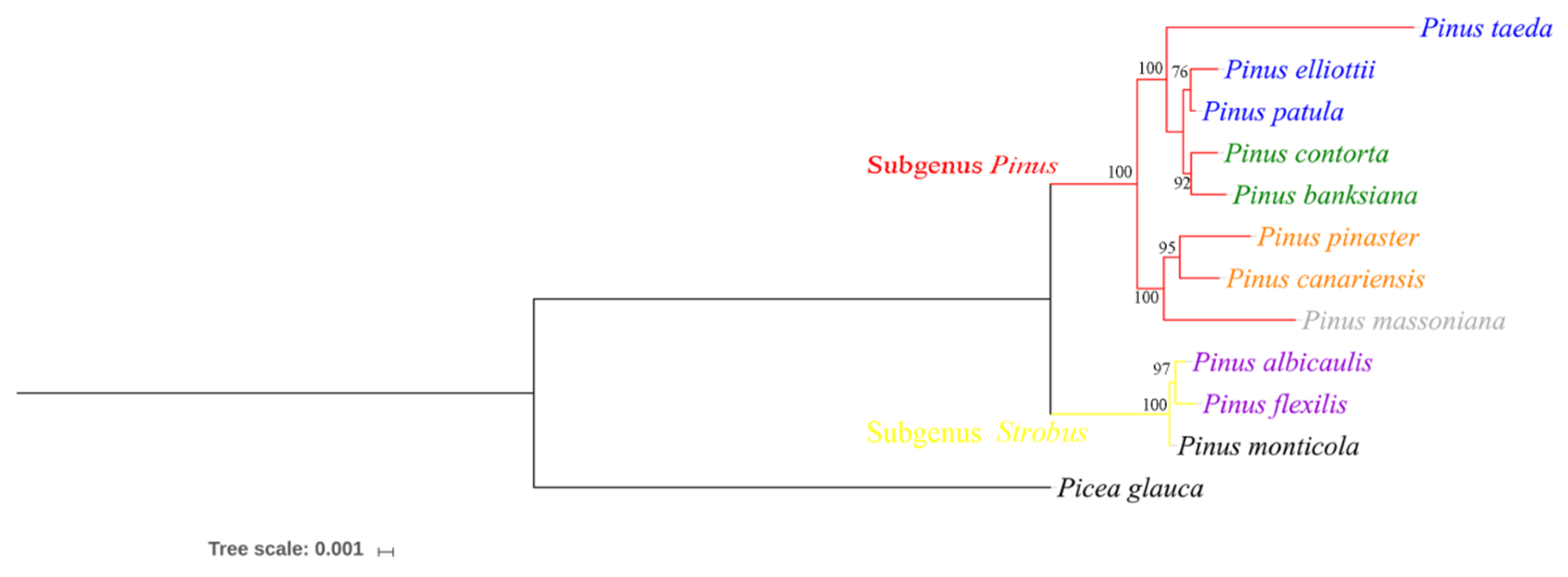 Forests 10 00942 g004 Forests 10 00942 g004