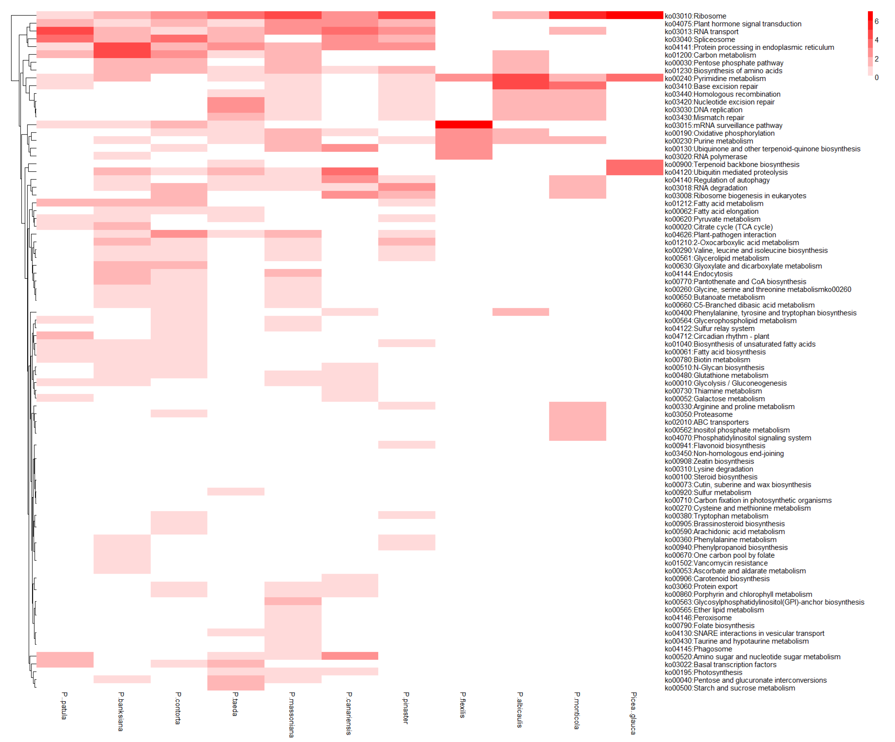 Forests 10 00942 g006 Forests 10 00942 g006