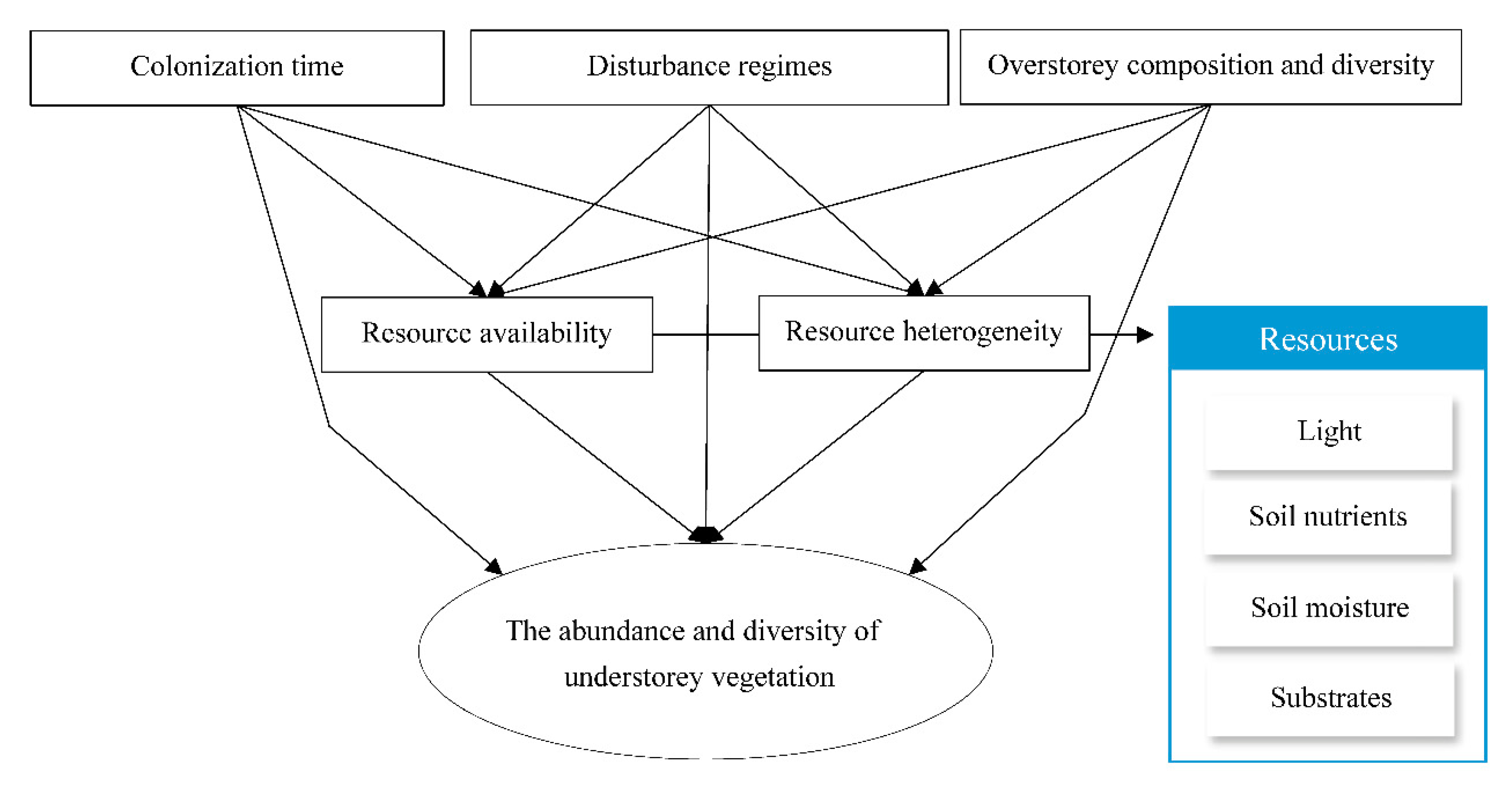 Forests 10 00944 g001