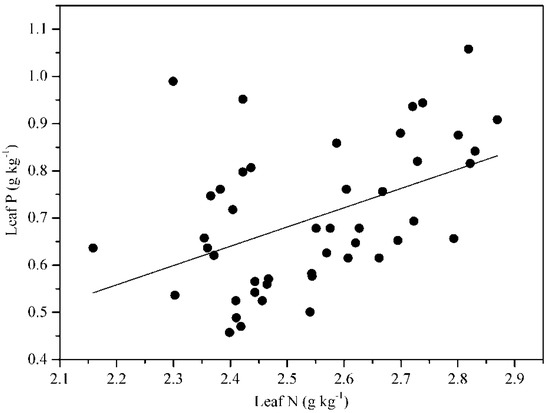Leaf Nitrogen and Phosphorus Stoichiometry of Chinese fir