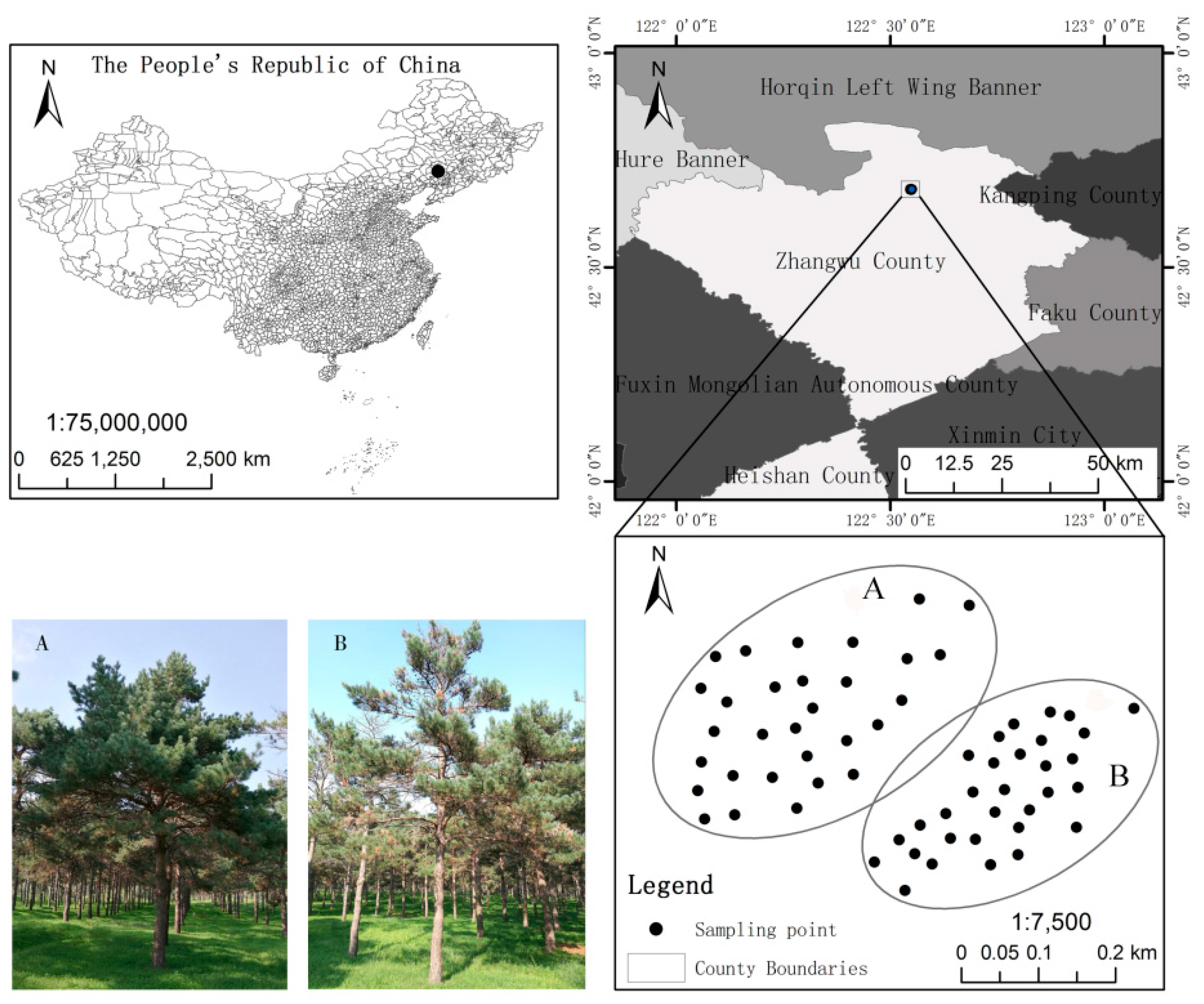 Forests 10 00954 g001 Forests 10 00954 g001