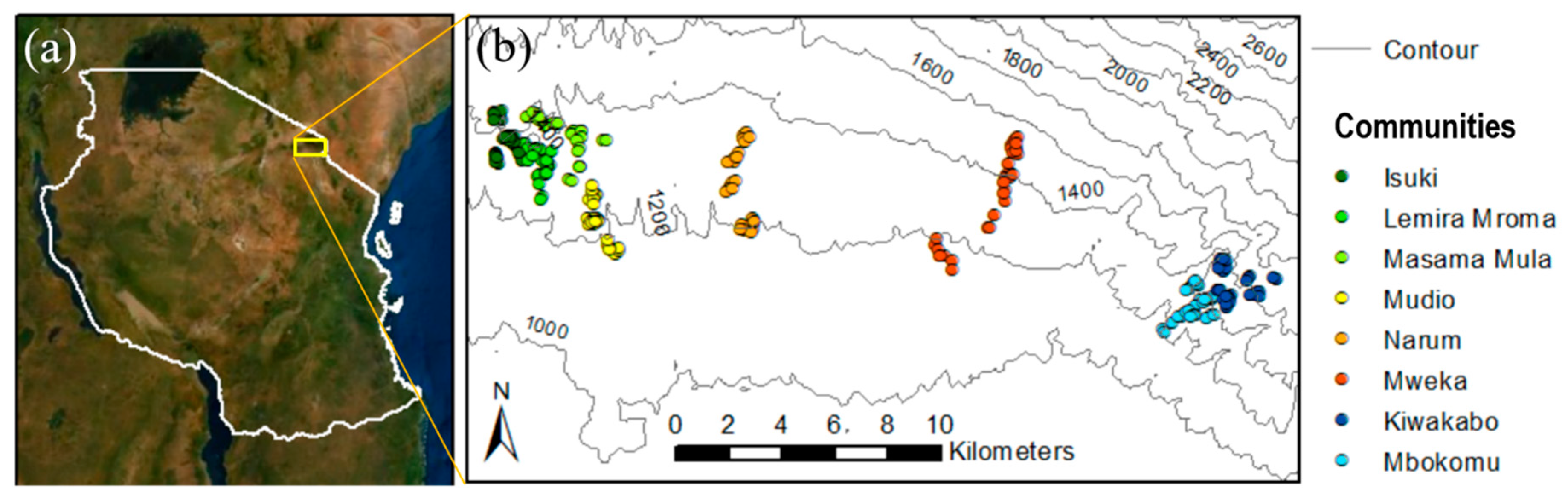 Forests 10 00963 g001