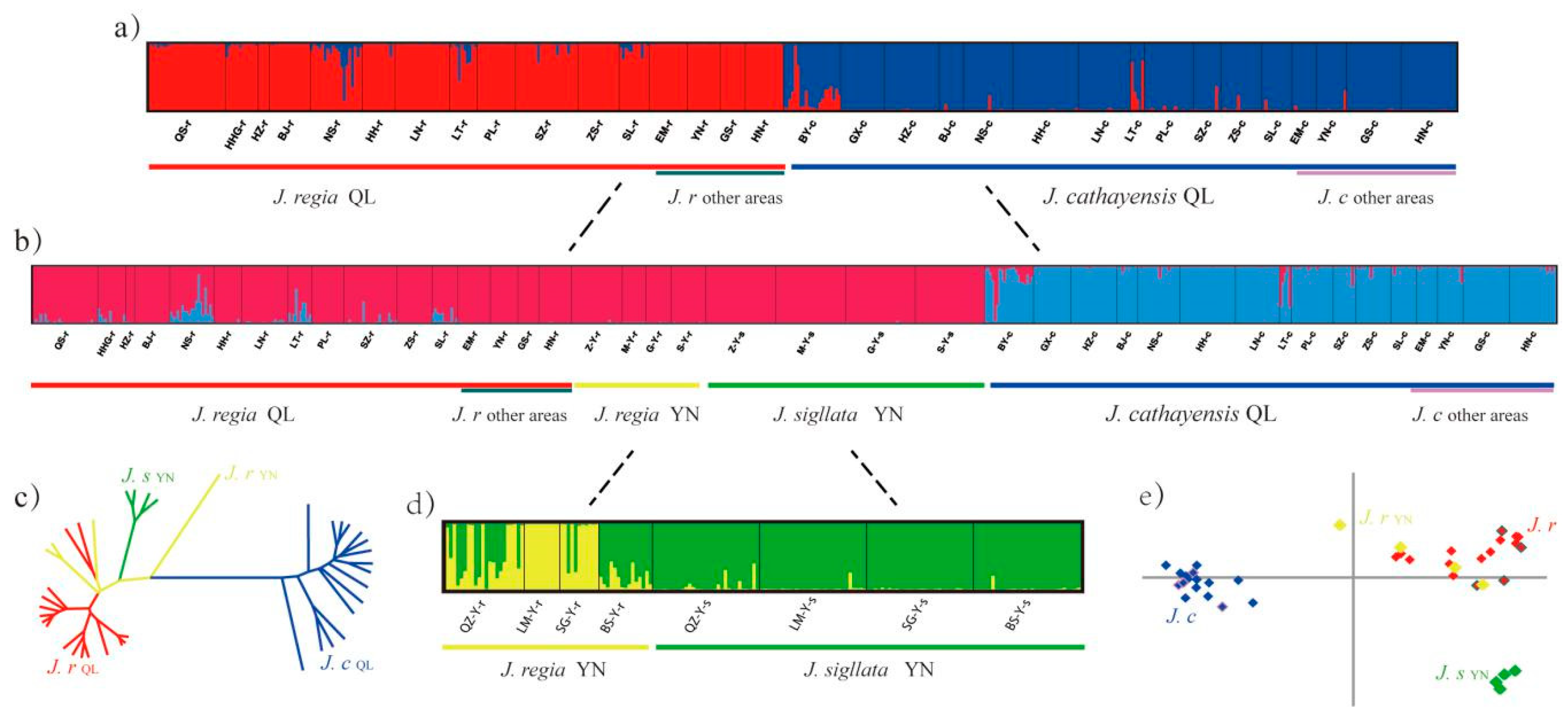 Forests 10 00965 g004