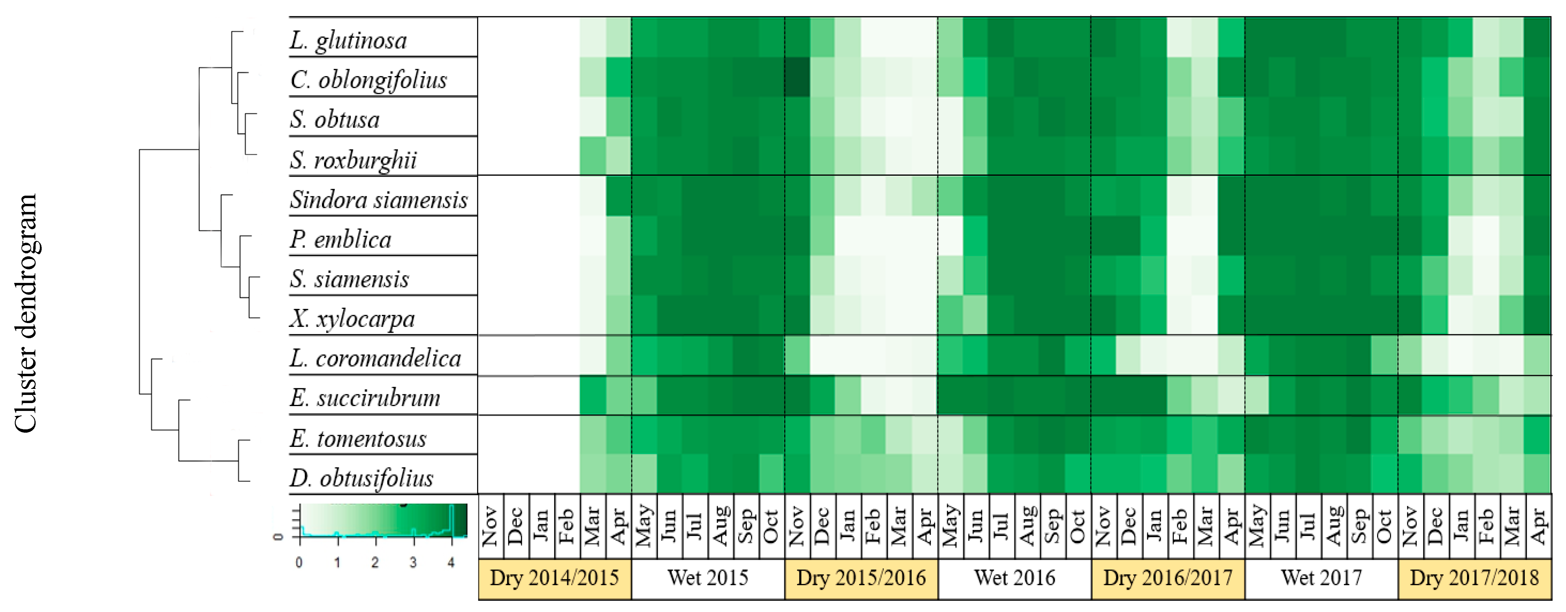 Forests 10 00967 g003