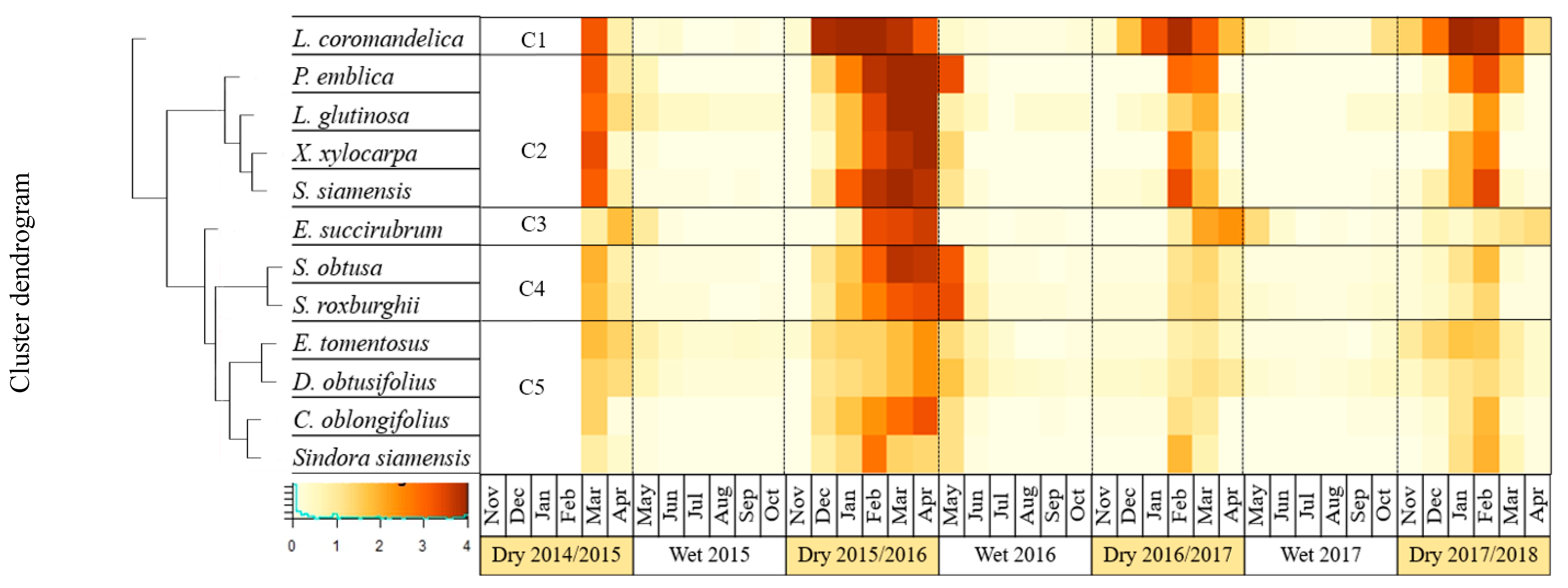 Forests 10 00967 g004