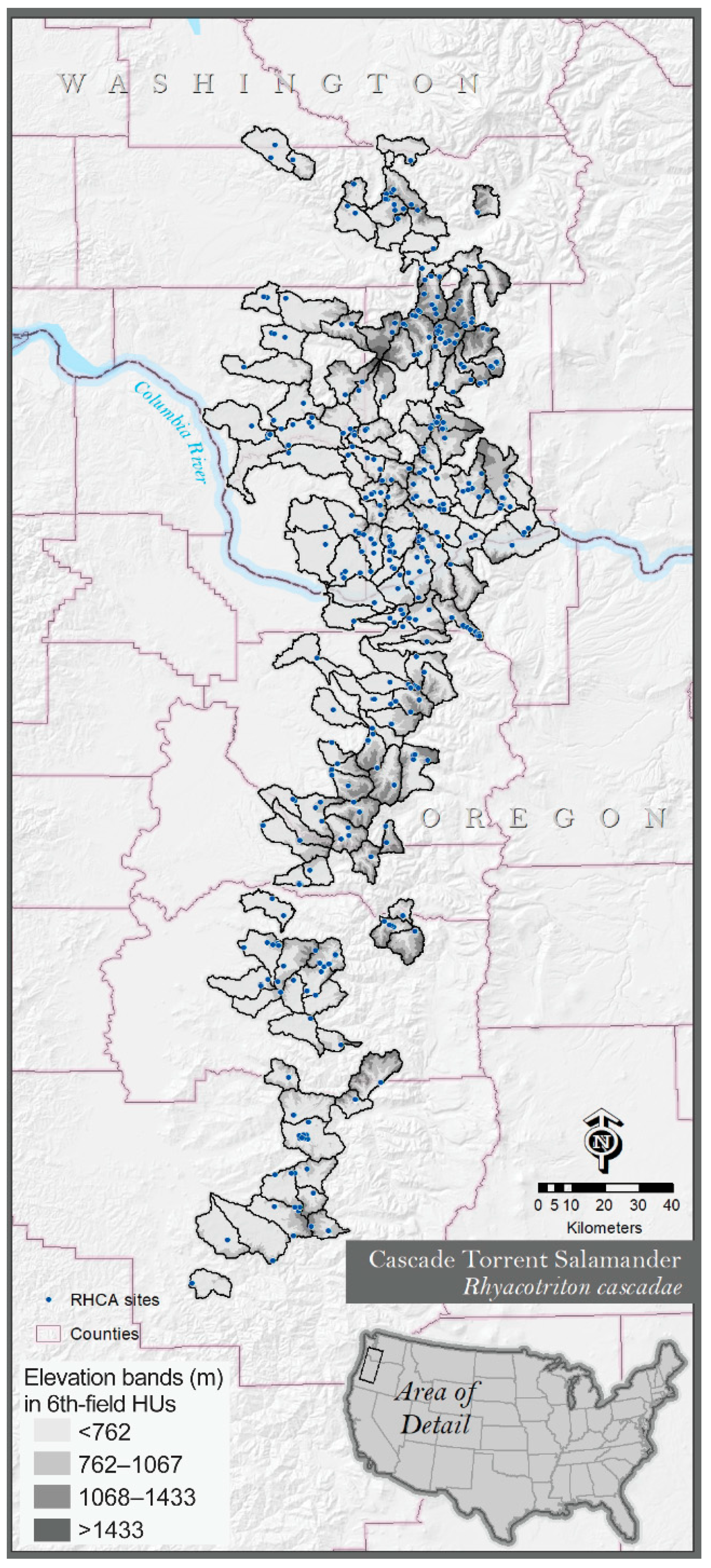 Forests 10 00968 g004