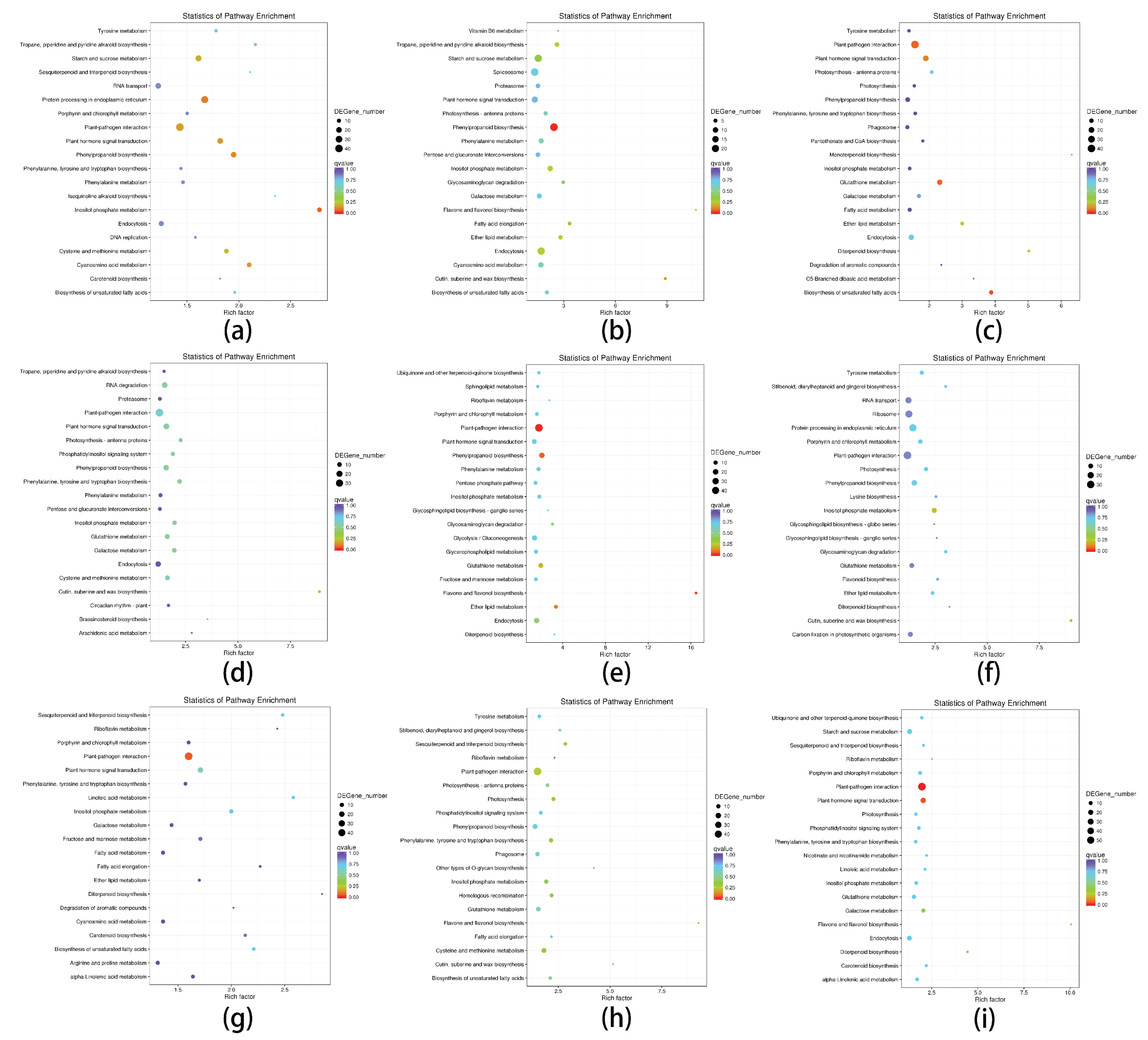 Forests 10 00995 g003