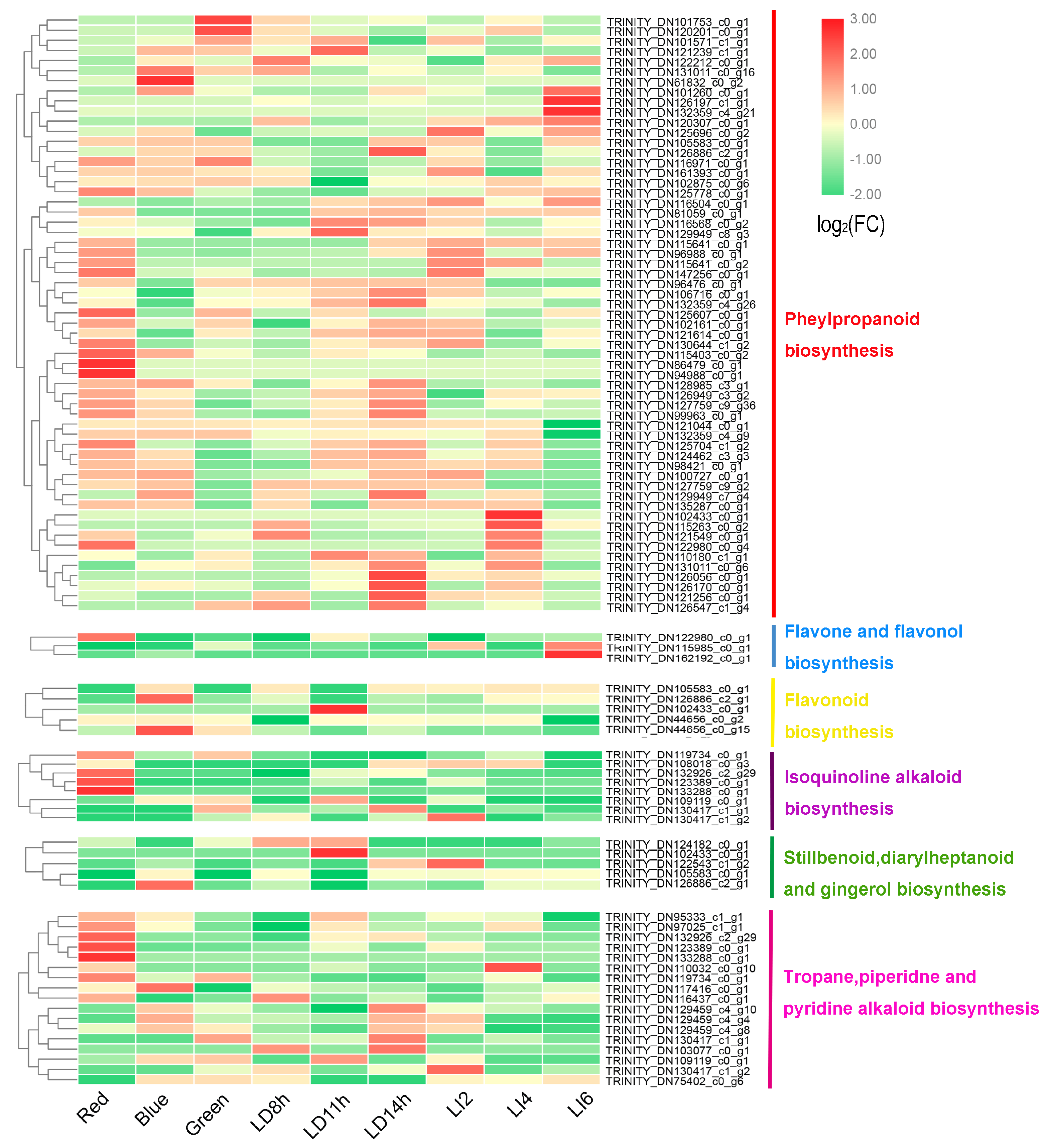 Comprehensive Transcriptome Analysis Revealed the Effects of