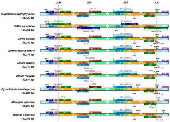 Structural and Comparative Analysis of the Complete