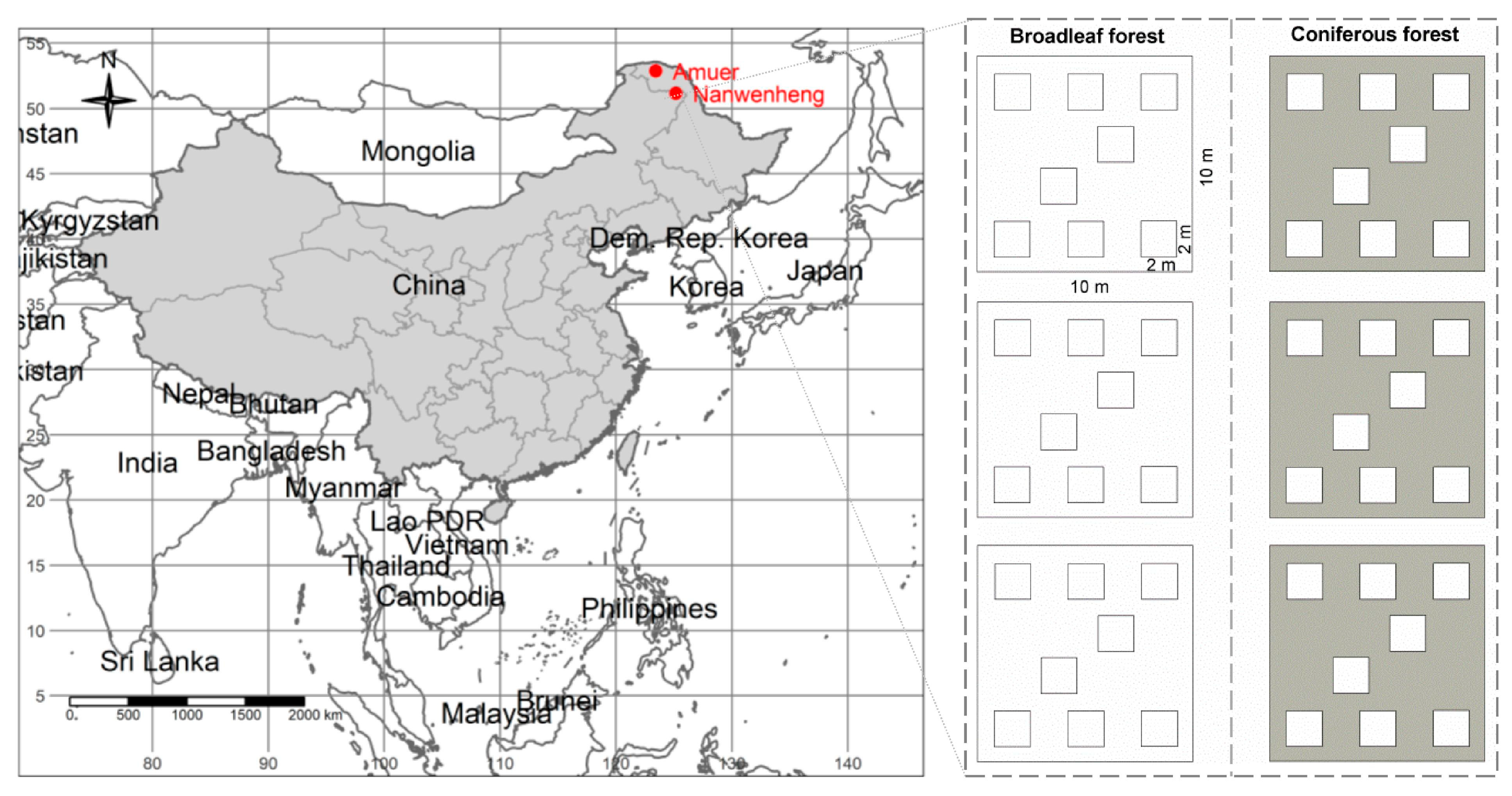 Forests 10 01003 g001