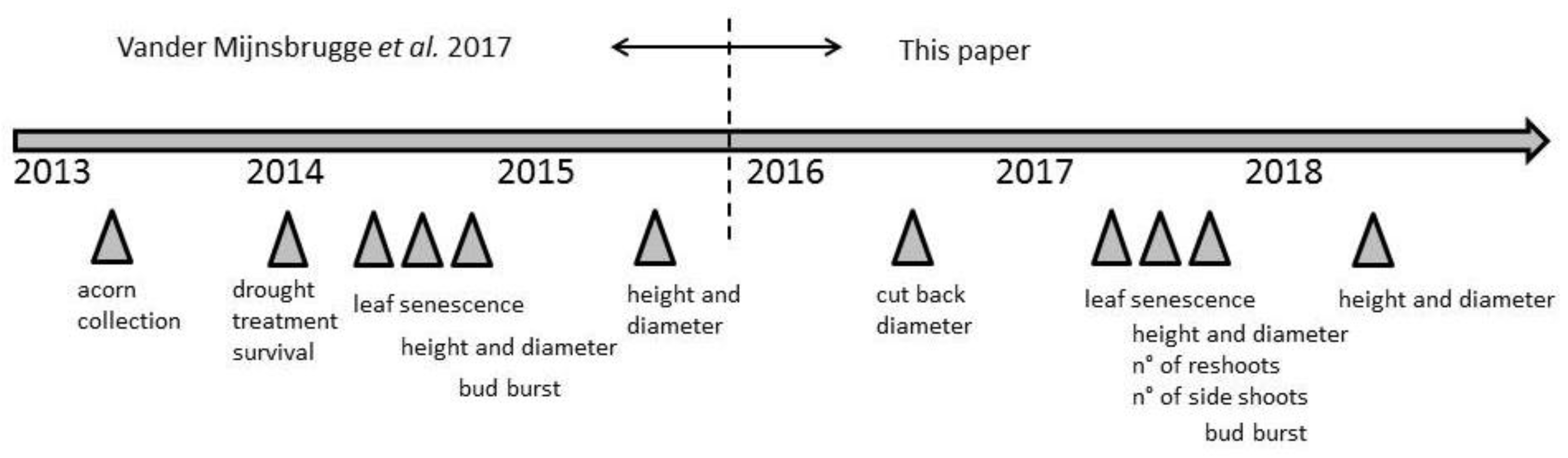 Forests 10 01012 g001 Forests 10 01012 g001