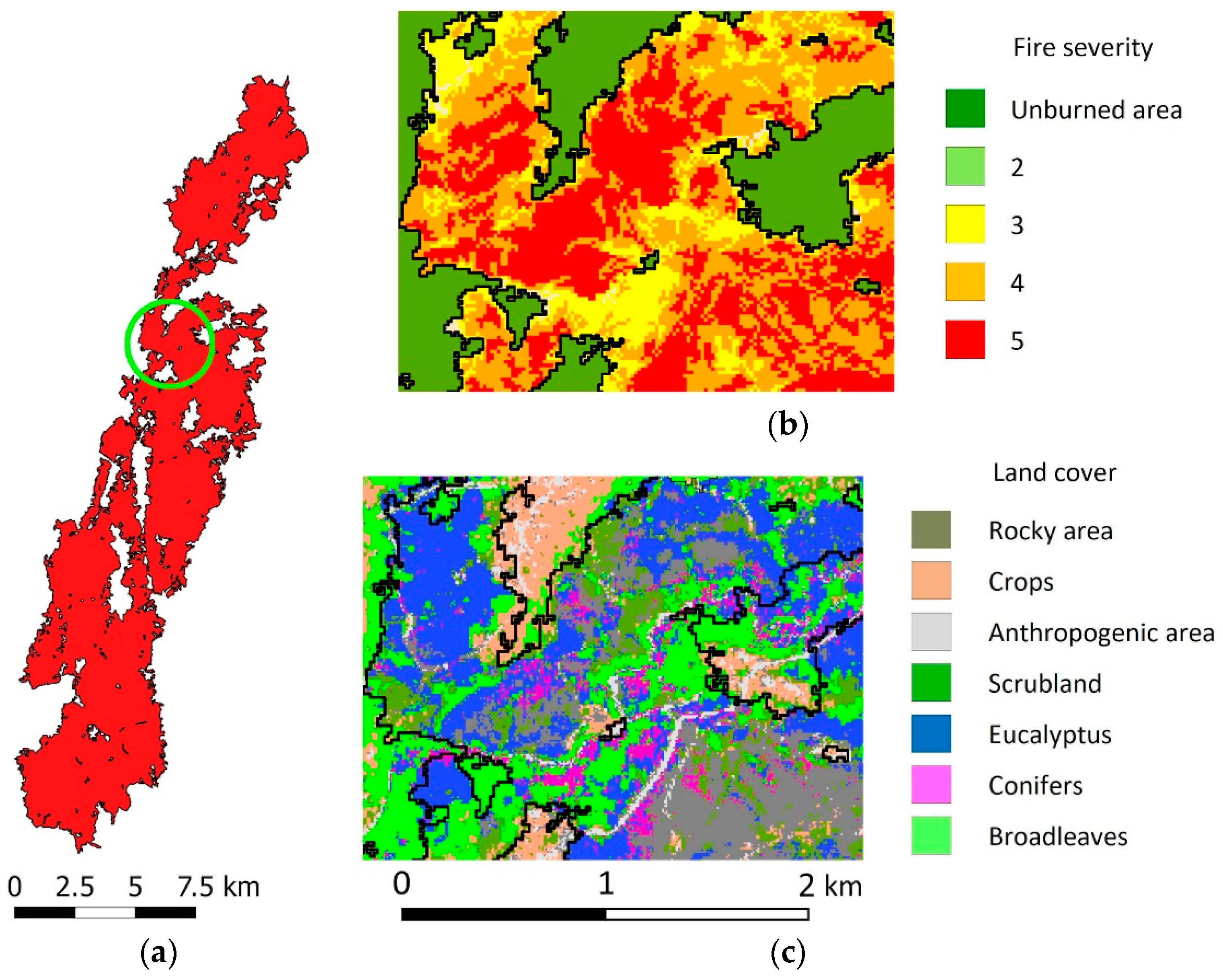 Forests 10 01021 g005 Forests 10 01021 g005