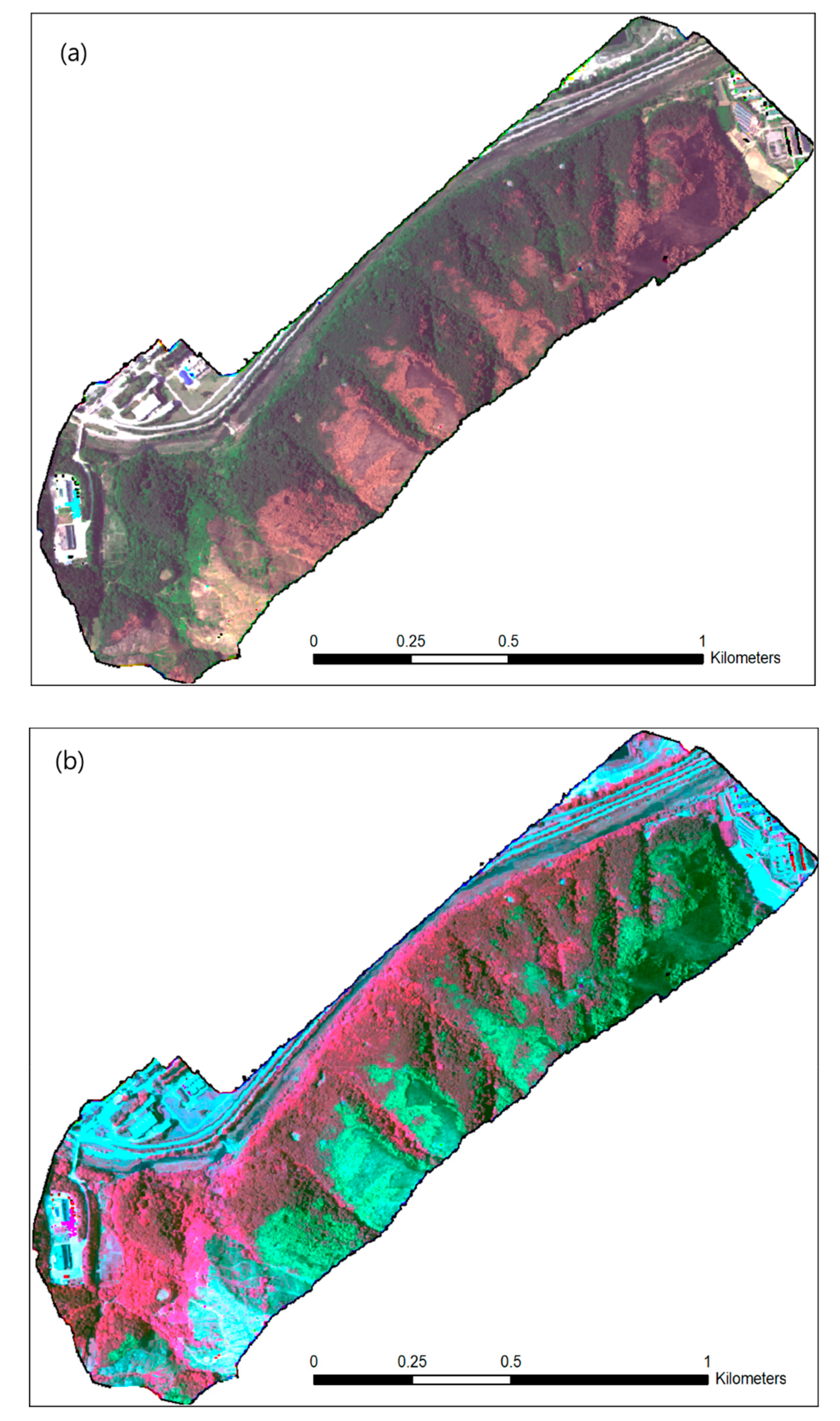 Forests 10 01025 g003 550