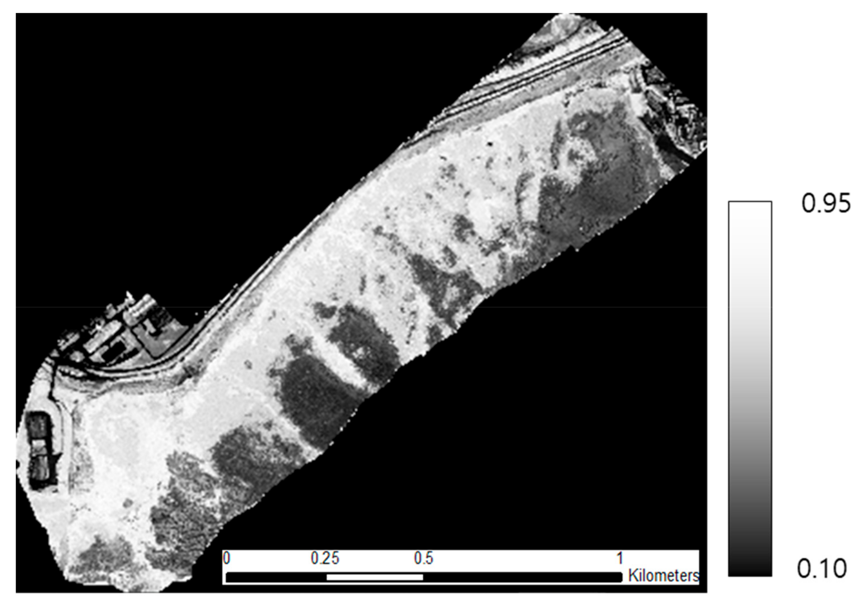 Forests 10 01025 g004 550