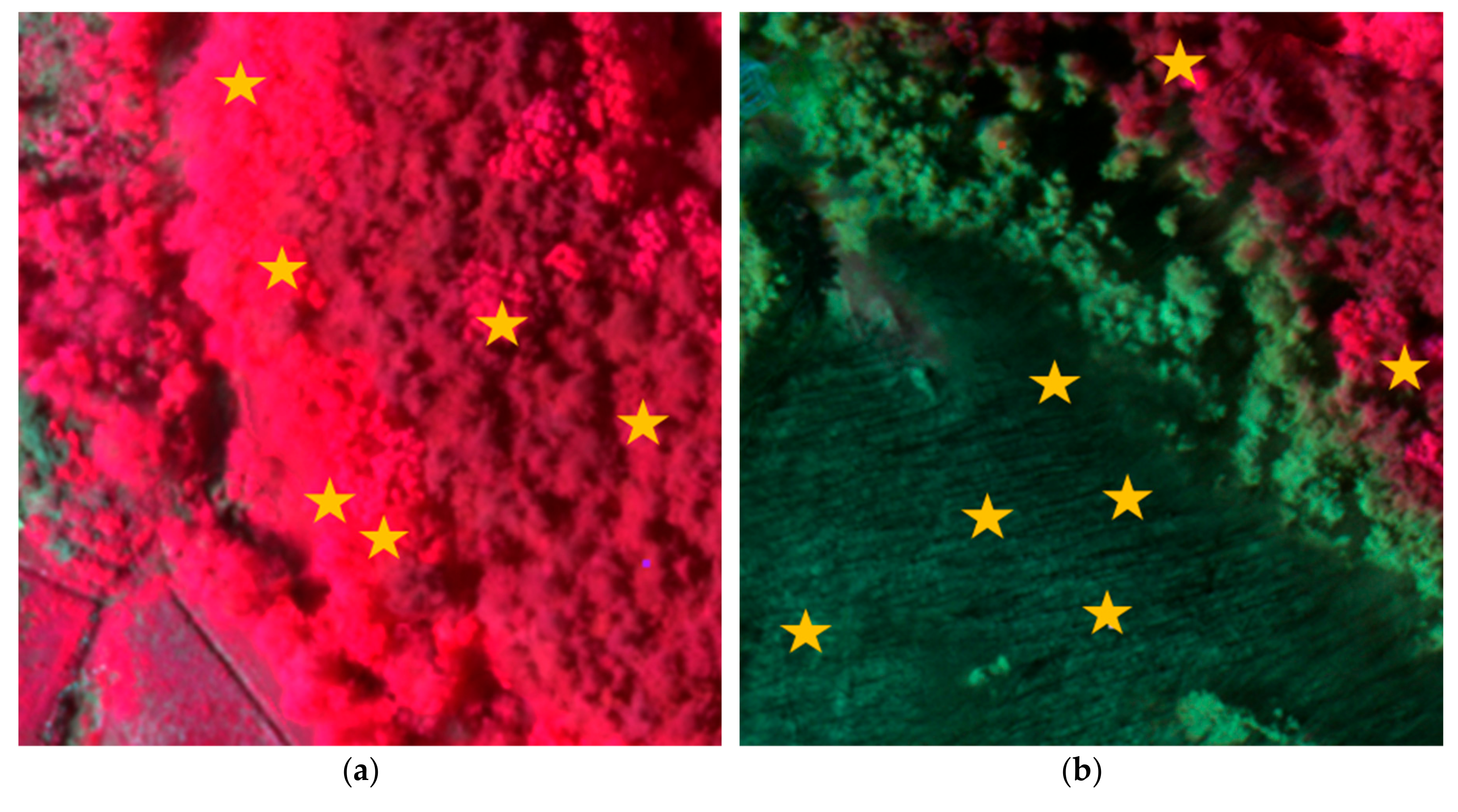 Forests 10 01025 g006 550