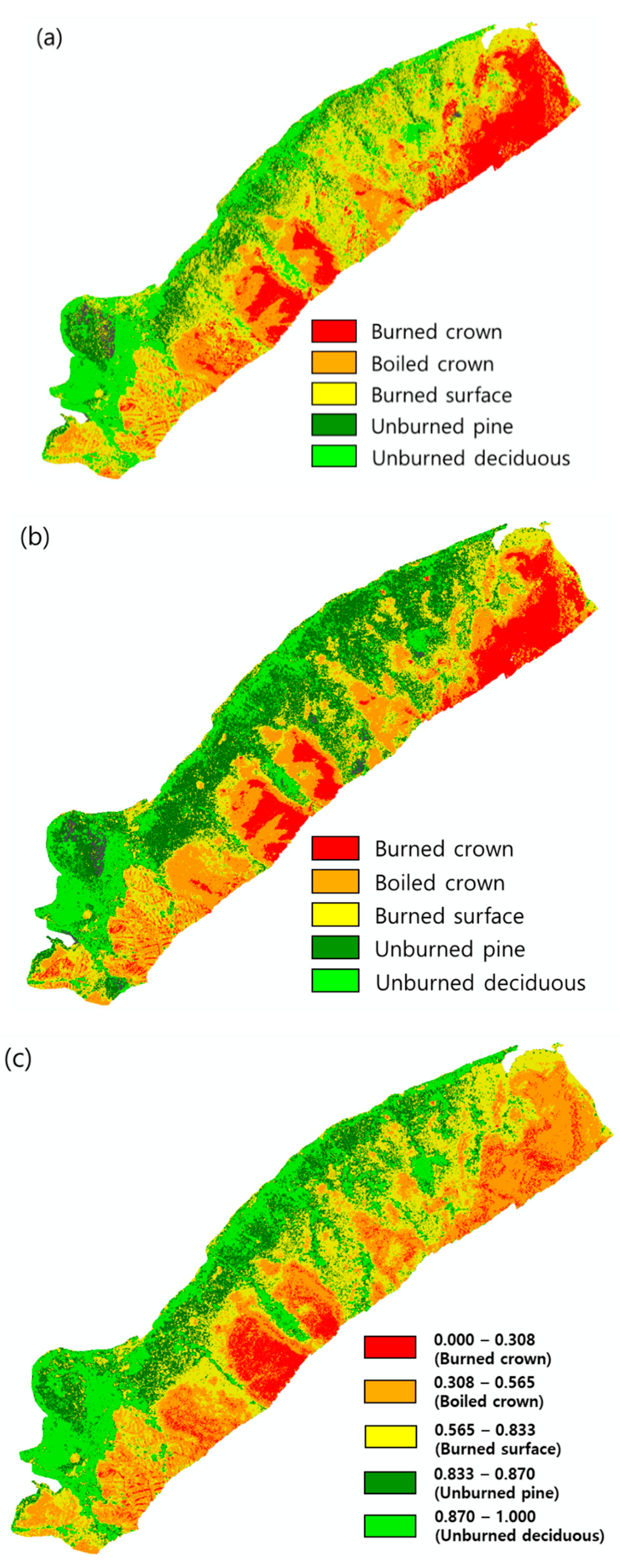 Forests 10 01025 g010 550