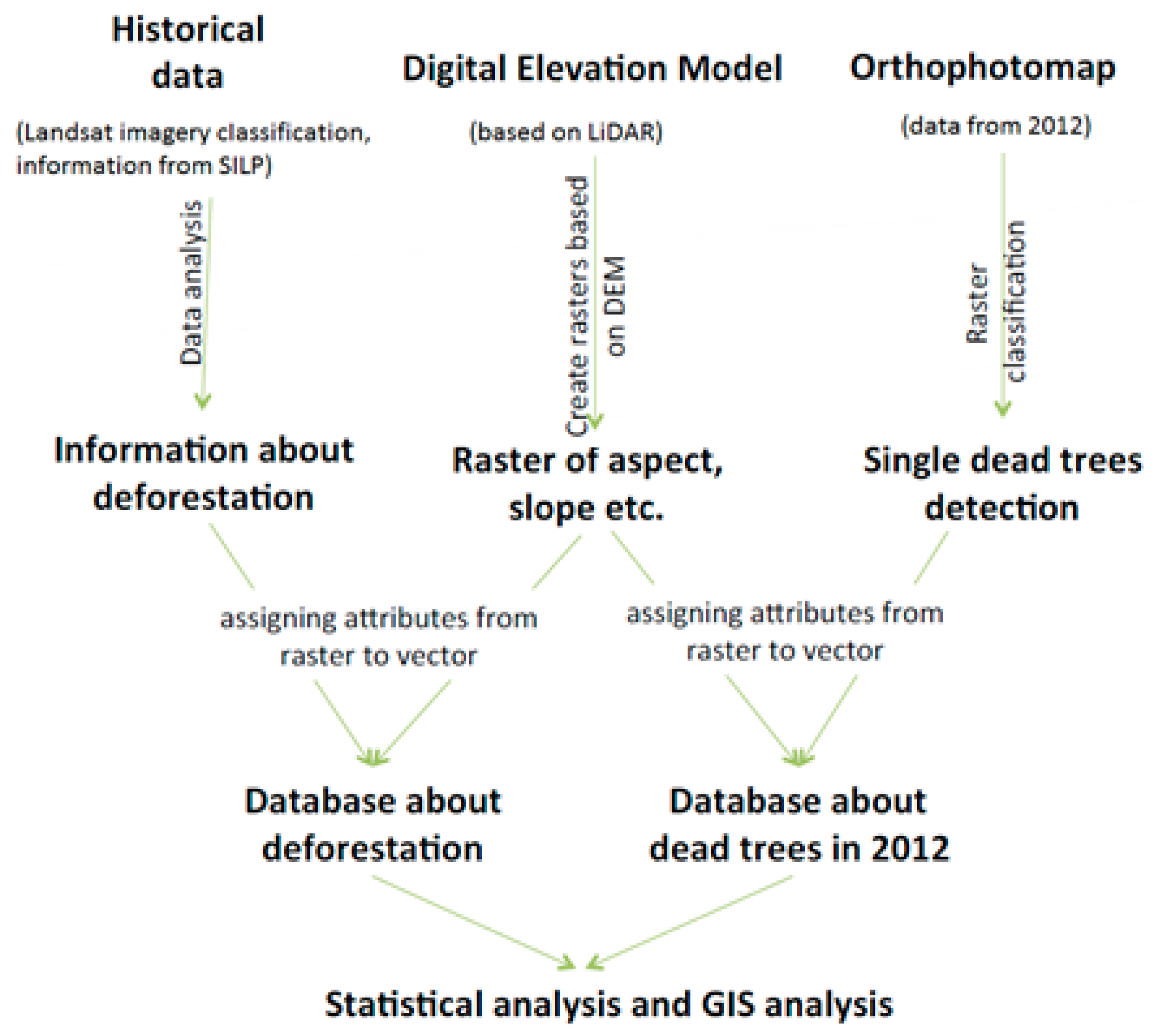 Forests 10 01027 g004