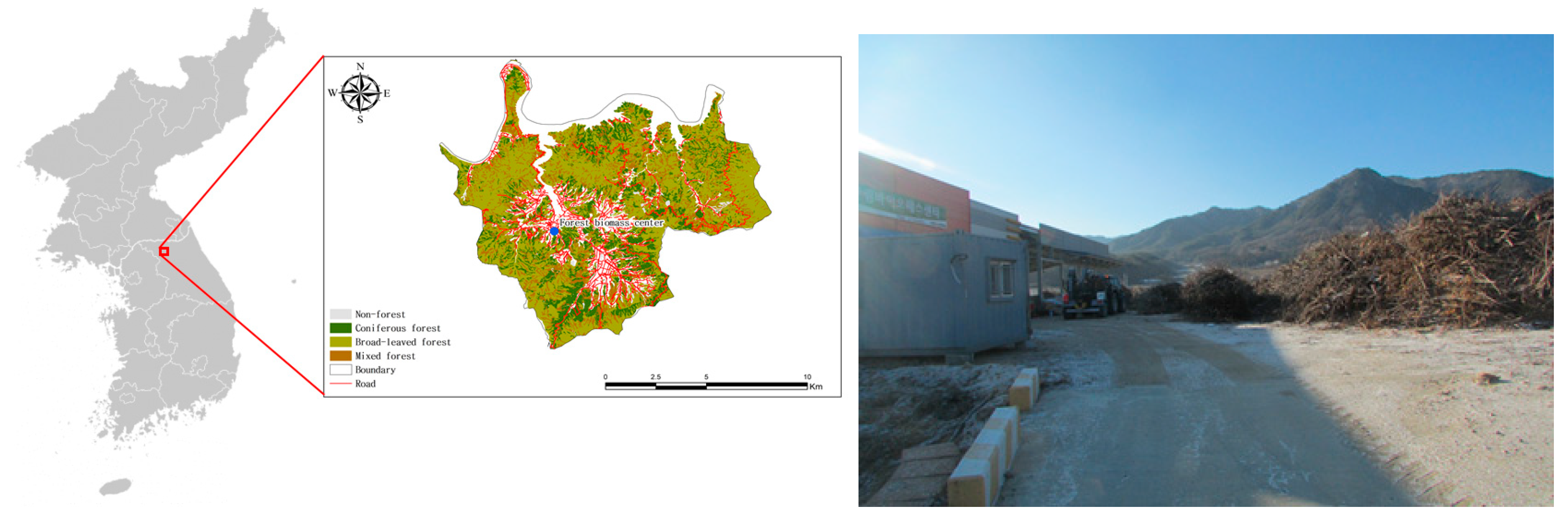 Forests 10 01029 g001