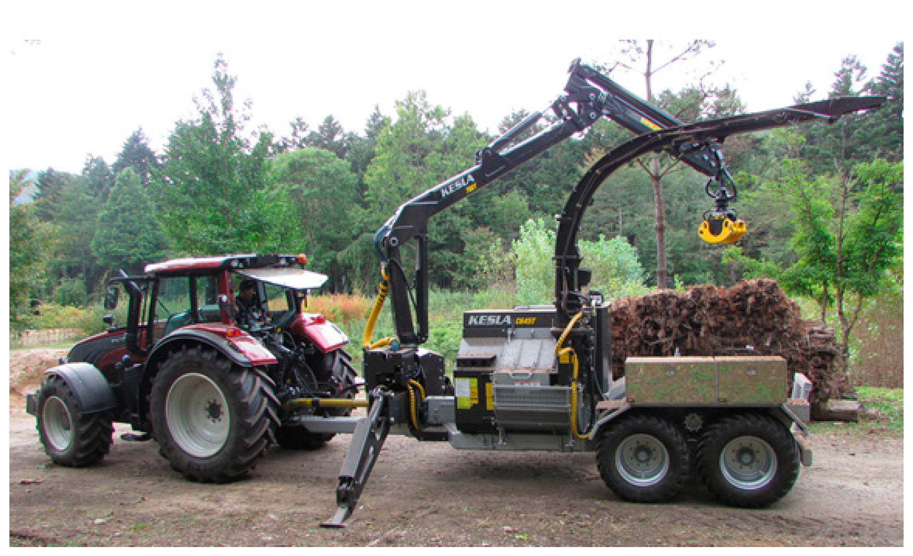 Forests 10 01029 g002