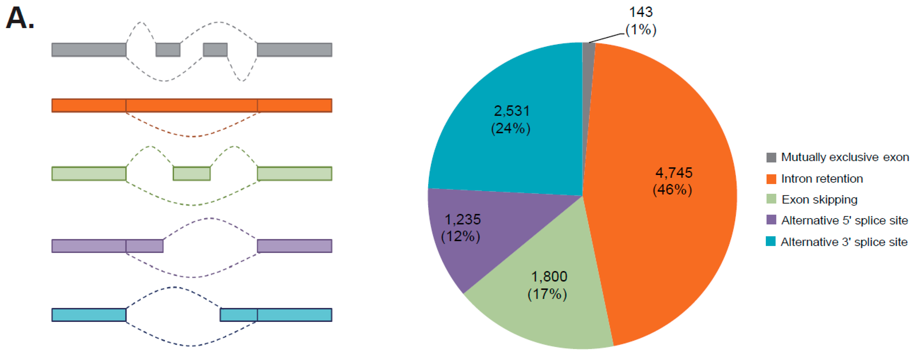 Forests 10 01043 g004a Forests 10 01043 g004a