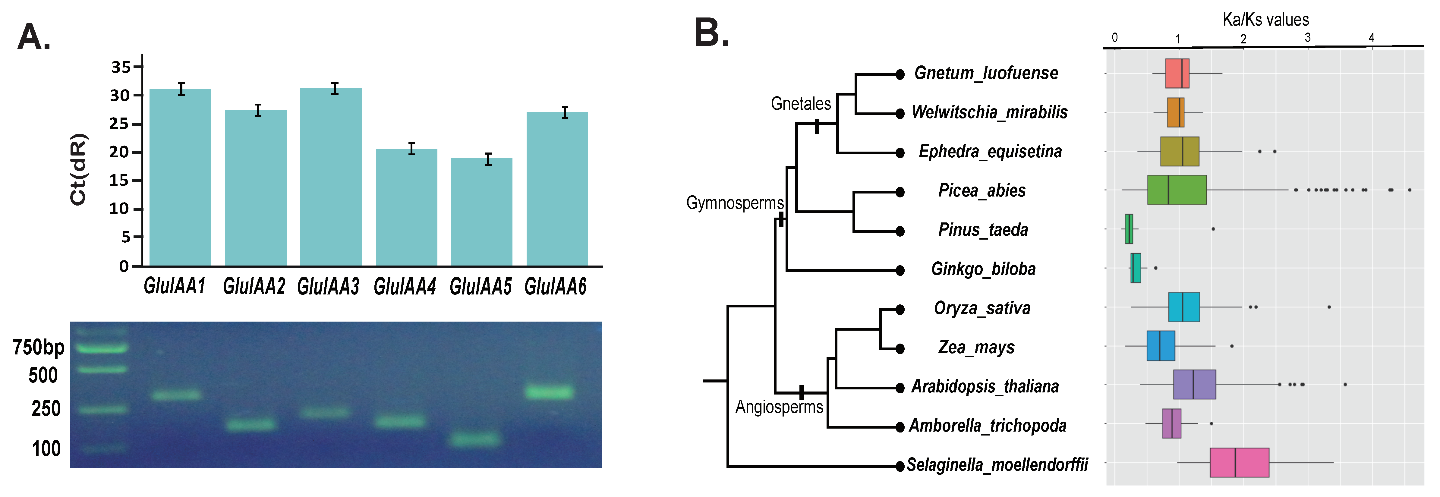 Forests 10 01043 g006a Forests 10 01043 g006a