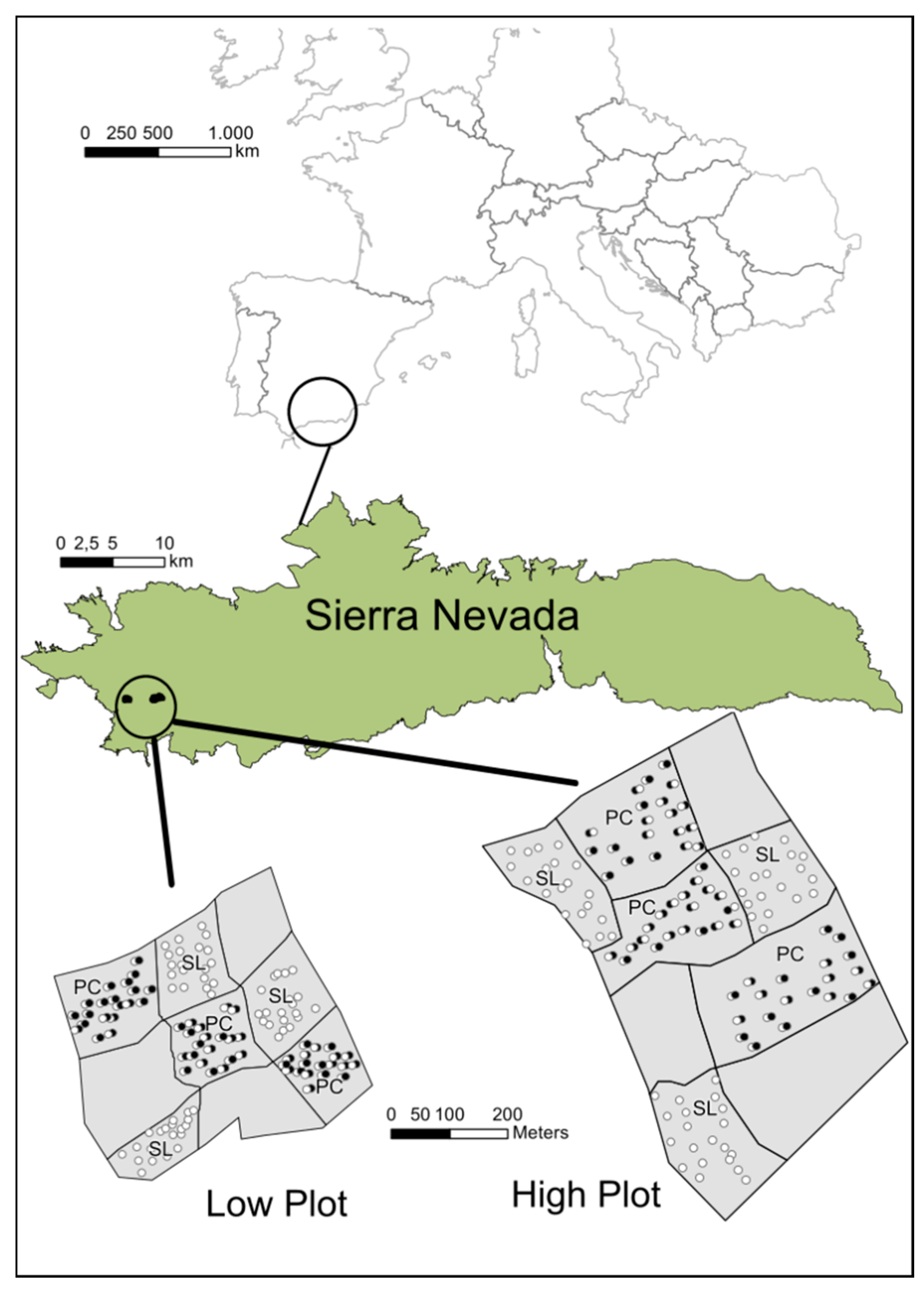 Forests 10 01046 g001 Forests 10 01046 g001