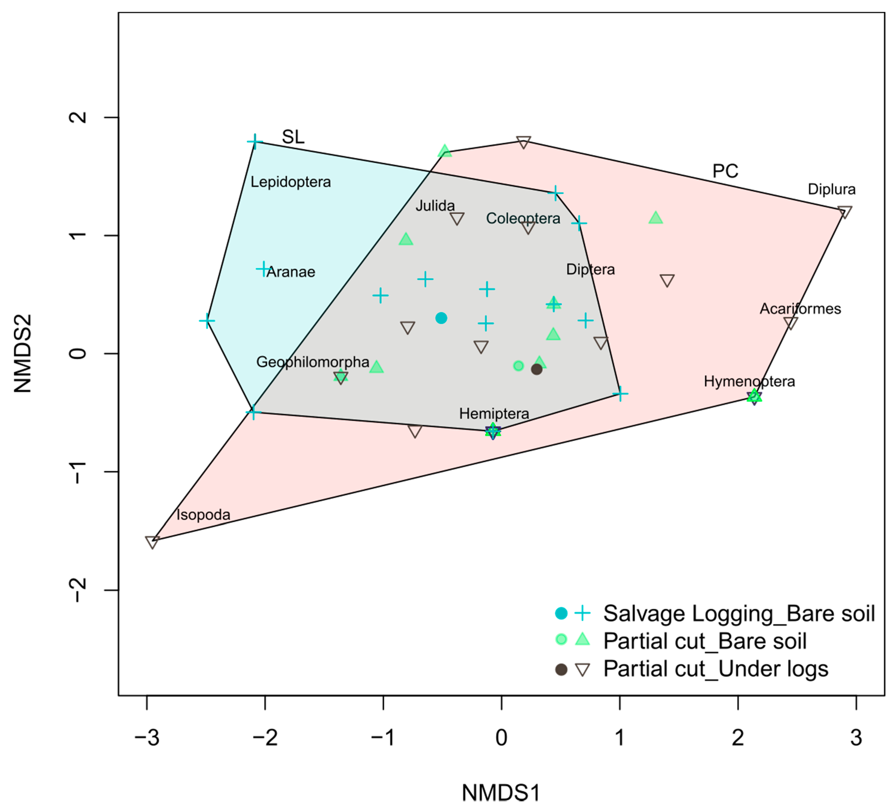Forests 10 01046 g003 Forests 10 01046 g003