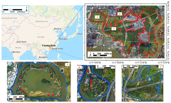 Deep Learning Approaches for the Mapping of Tree Species Diversity in a ...
