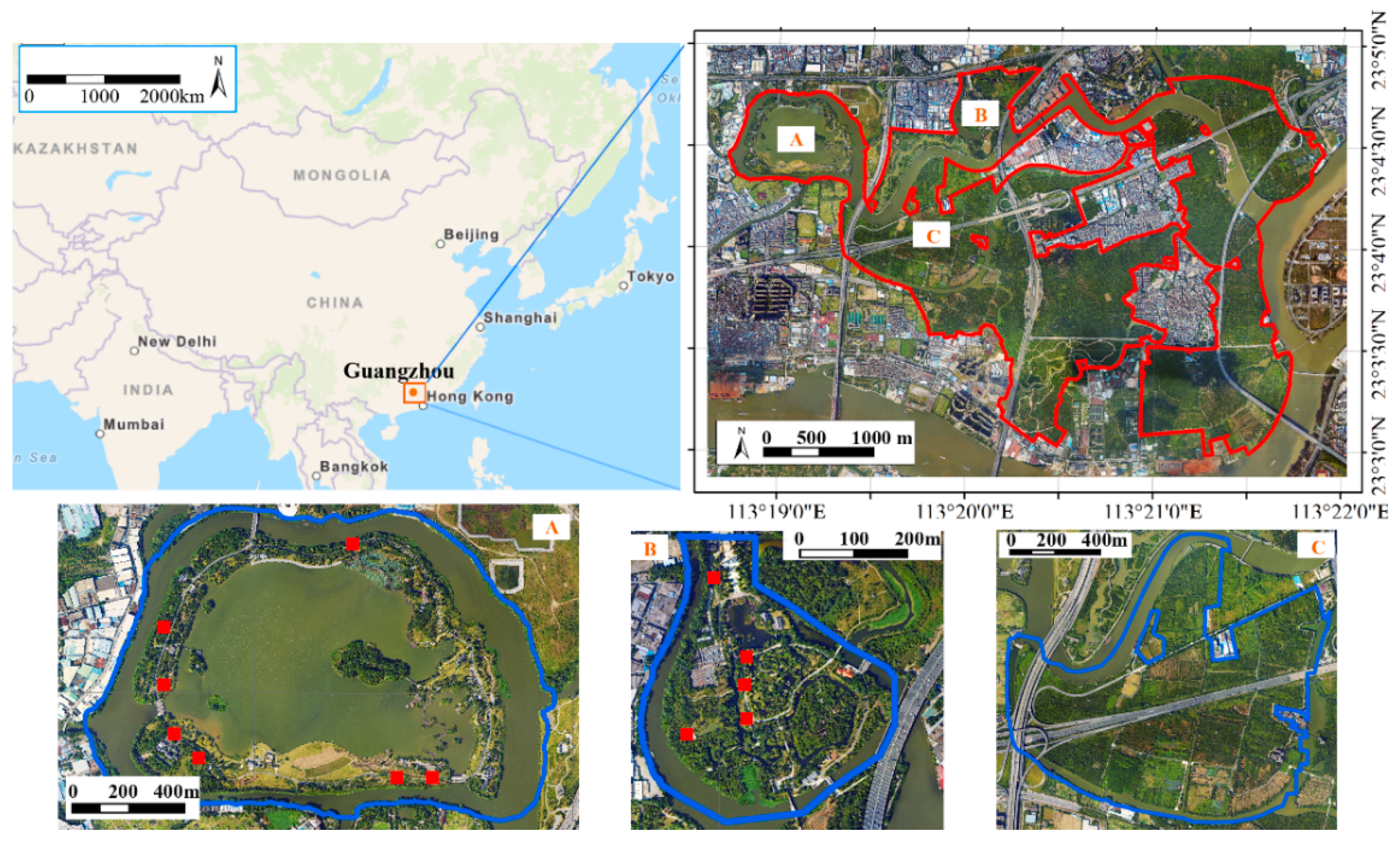 Forests 10 01047 g001 Forests 10 01047 g001