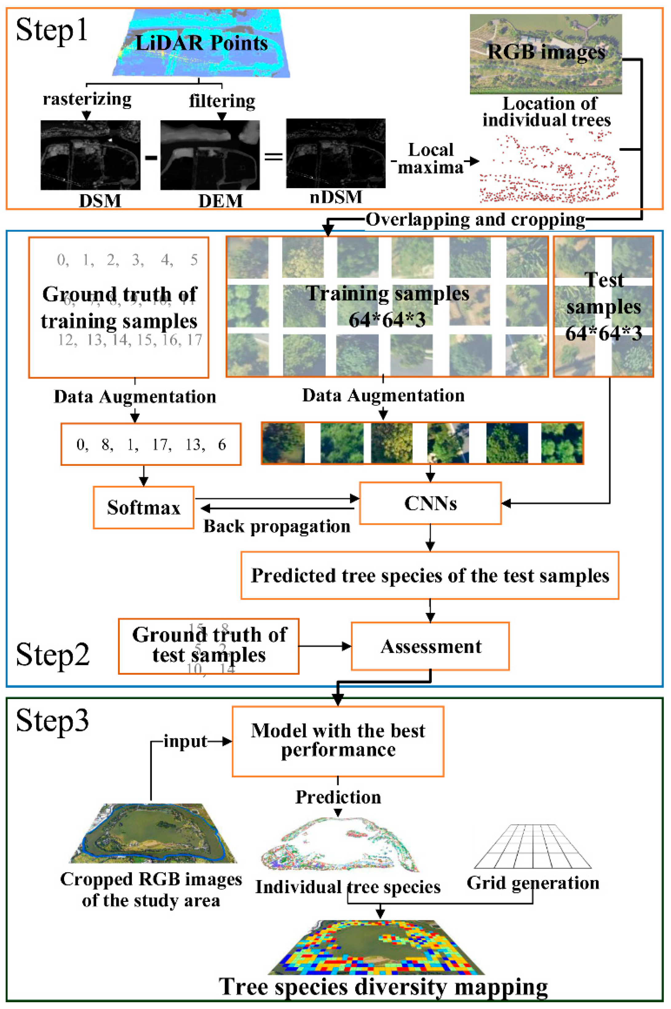 Forests 10 01047 g002 Forests 10 01047 g002