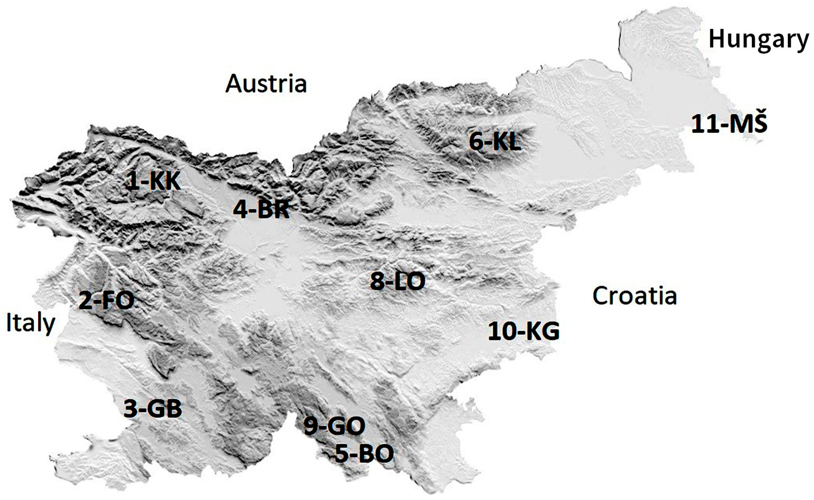 Forests 10 01048 g001 Forests 10 01048 g001