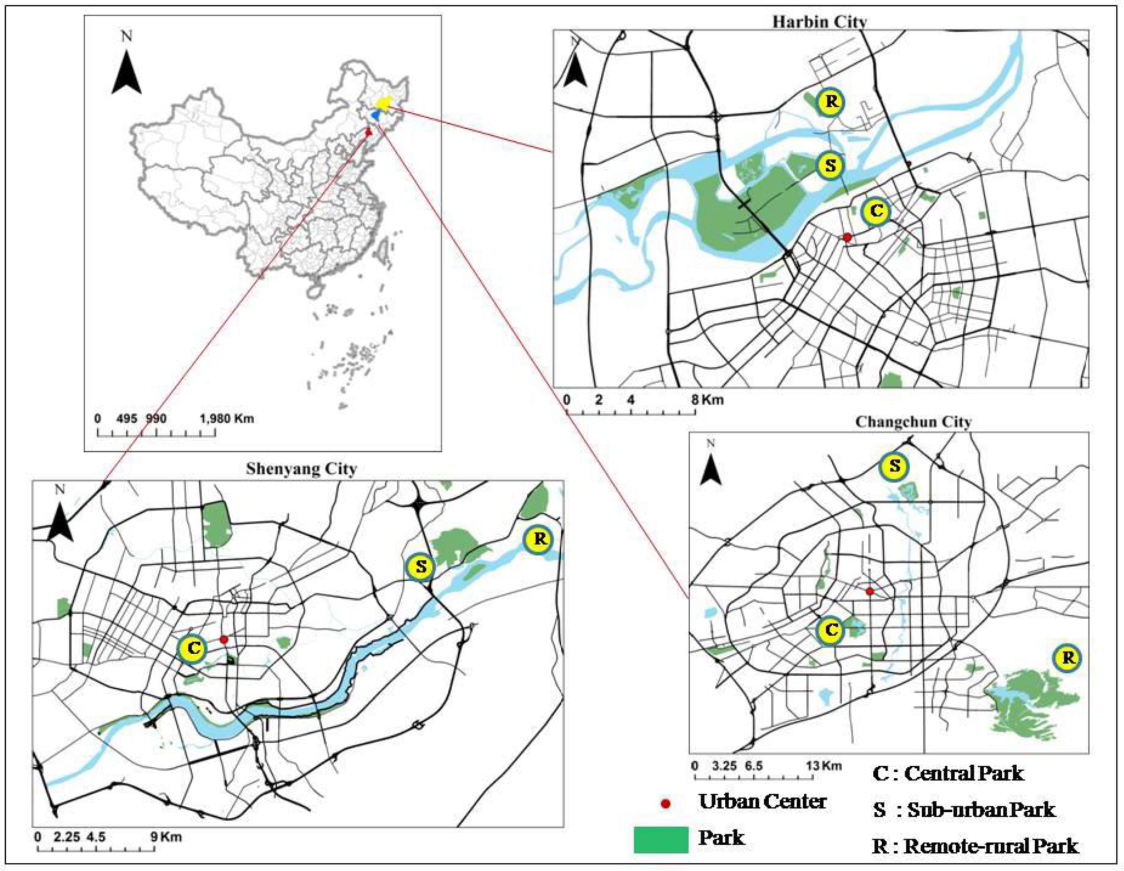 Forests 10 01049 g001