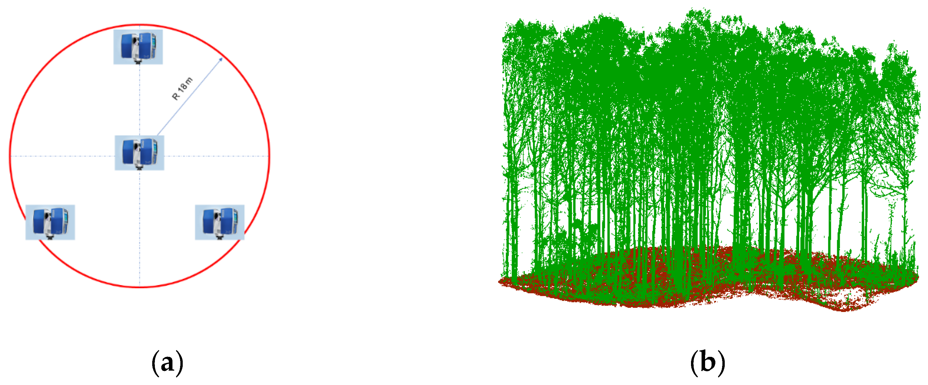 Forests 10 01050 g002