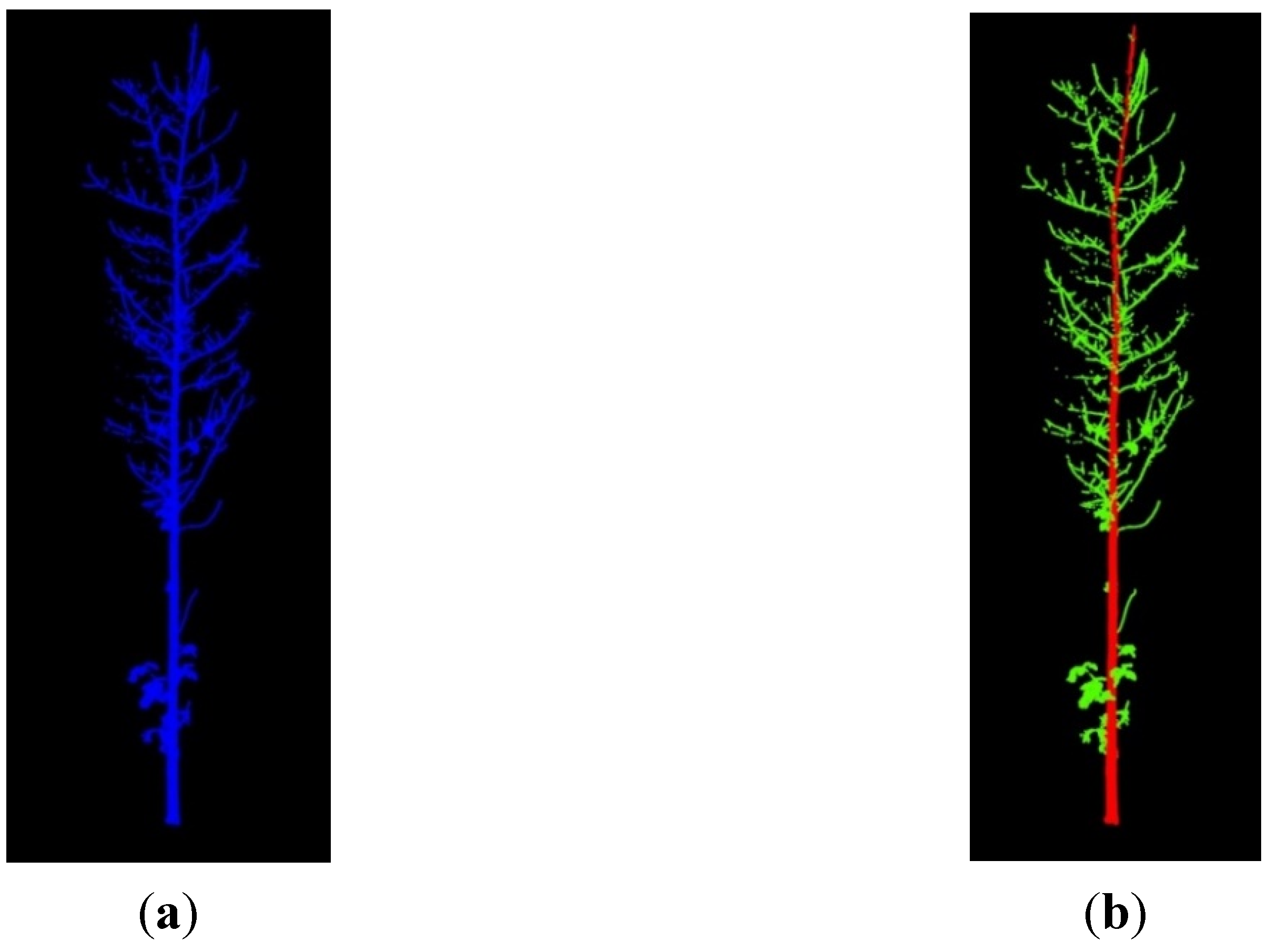 Forests 10 01050 g004