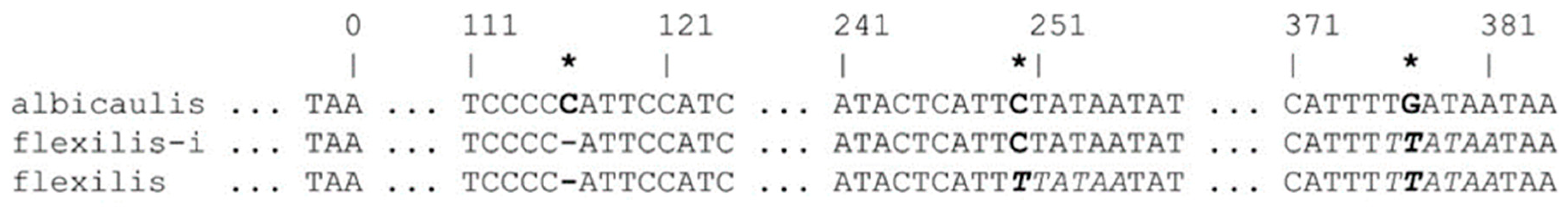 Forests 10 01060 g003