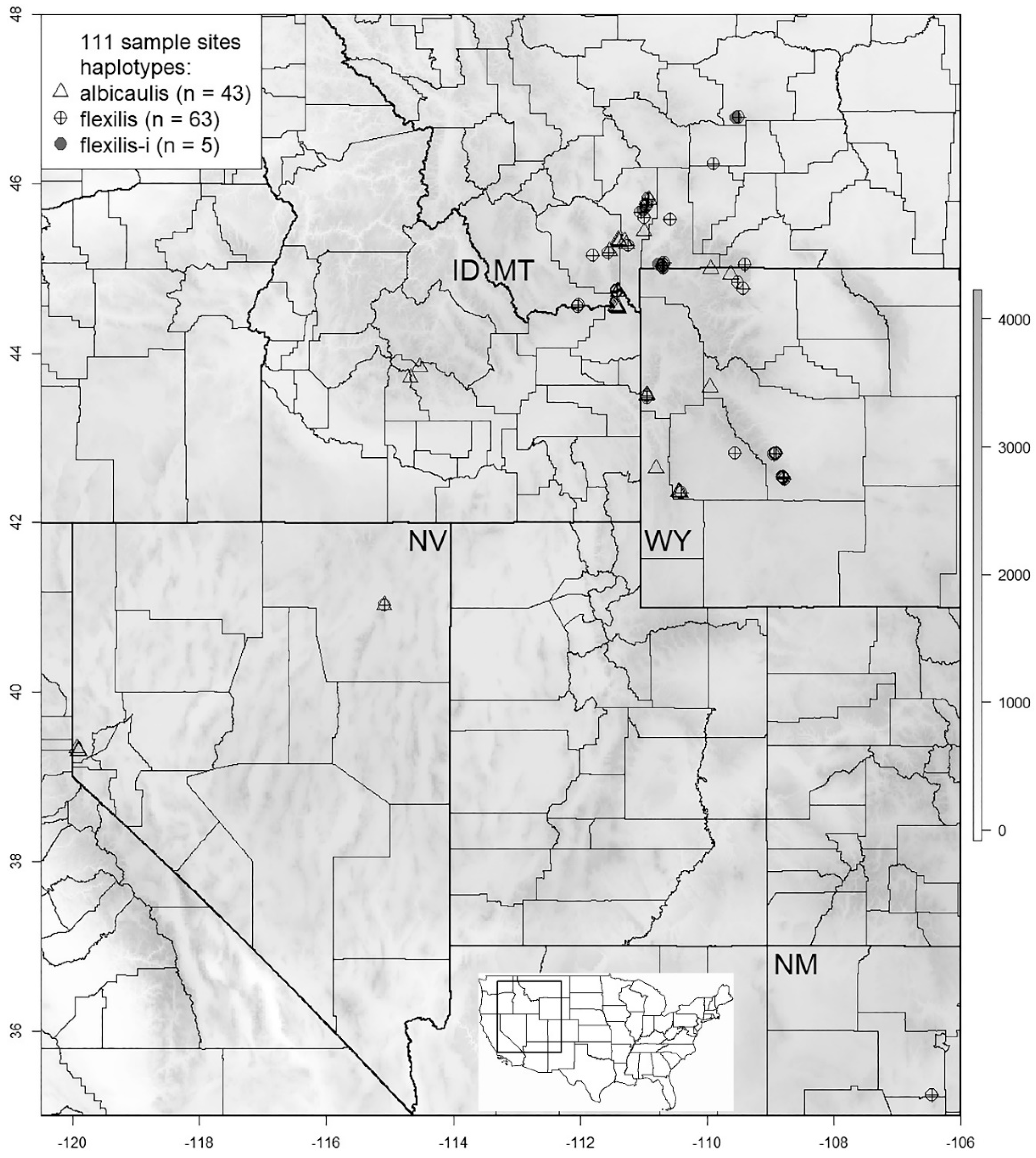 Forests 10 01060 g004