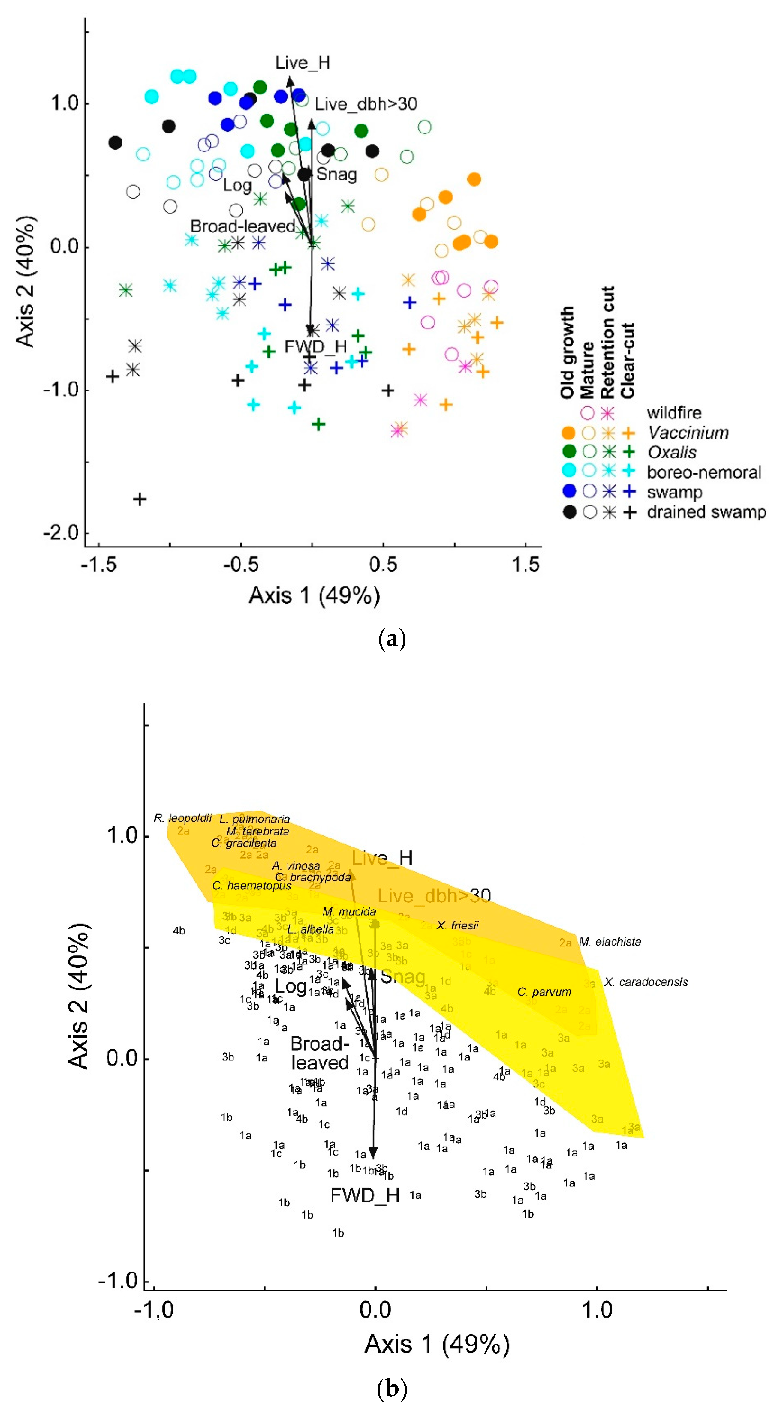 Forests 10 01063 g005 Forests 10 01063 g005