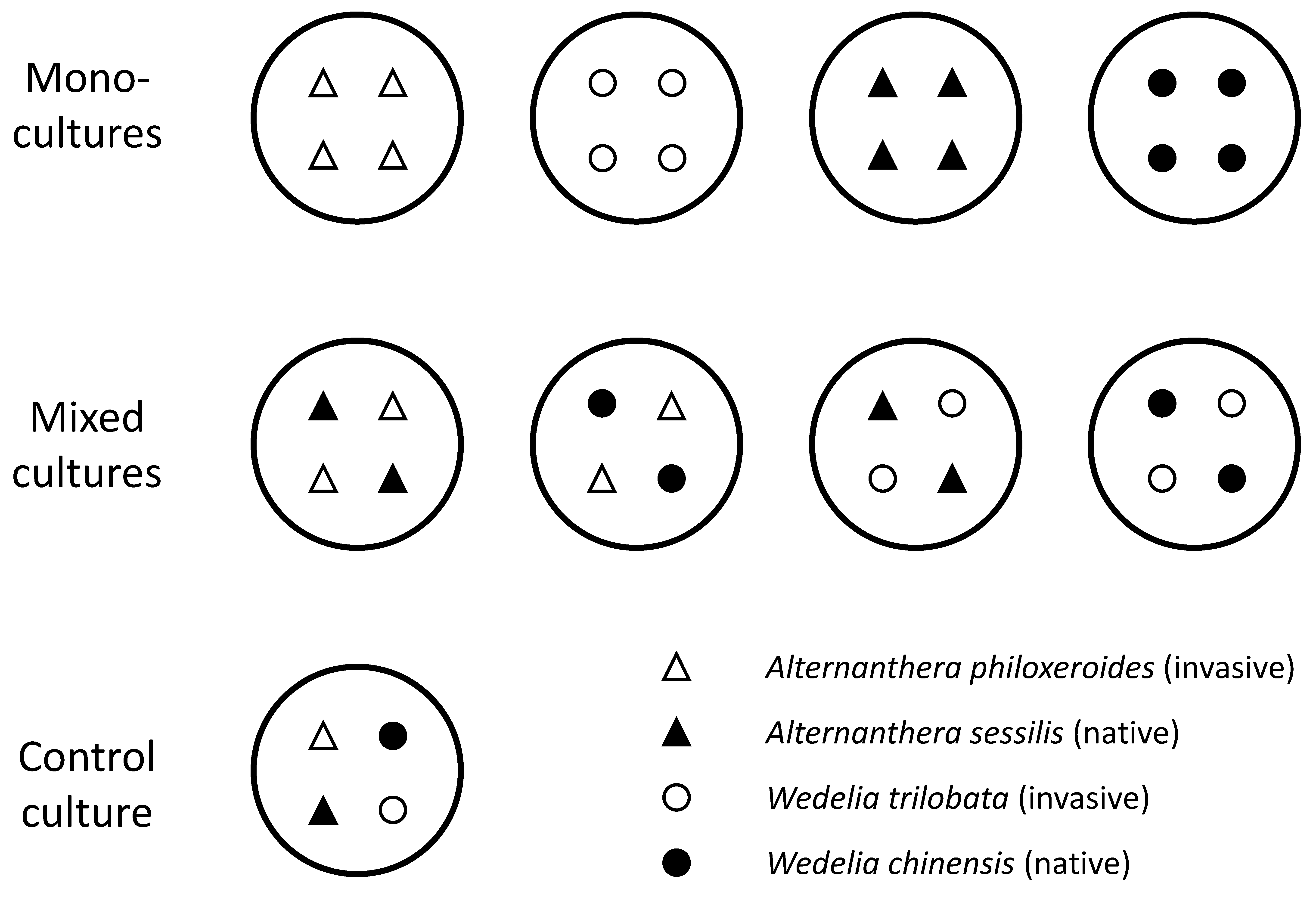 Forests 10 01075 g001 Forests 10 01075 g001