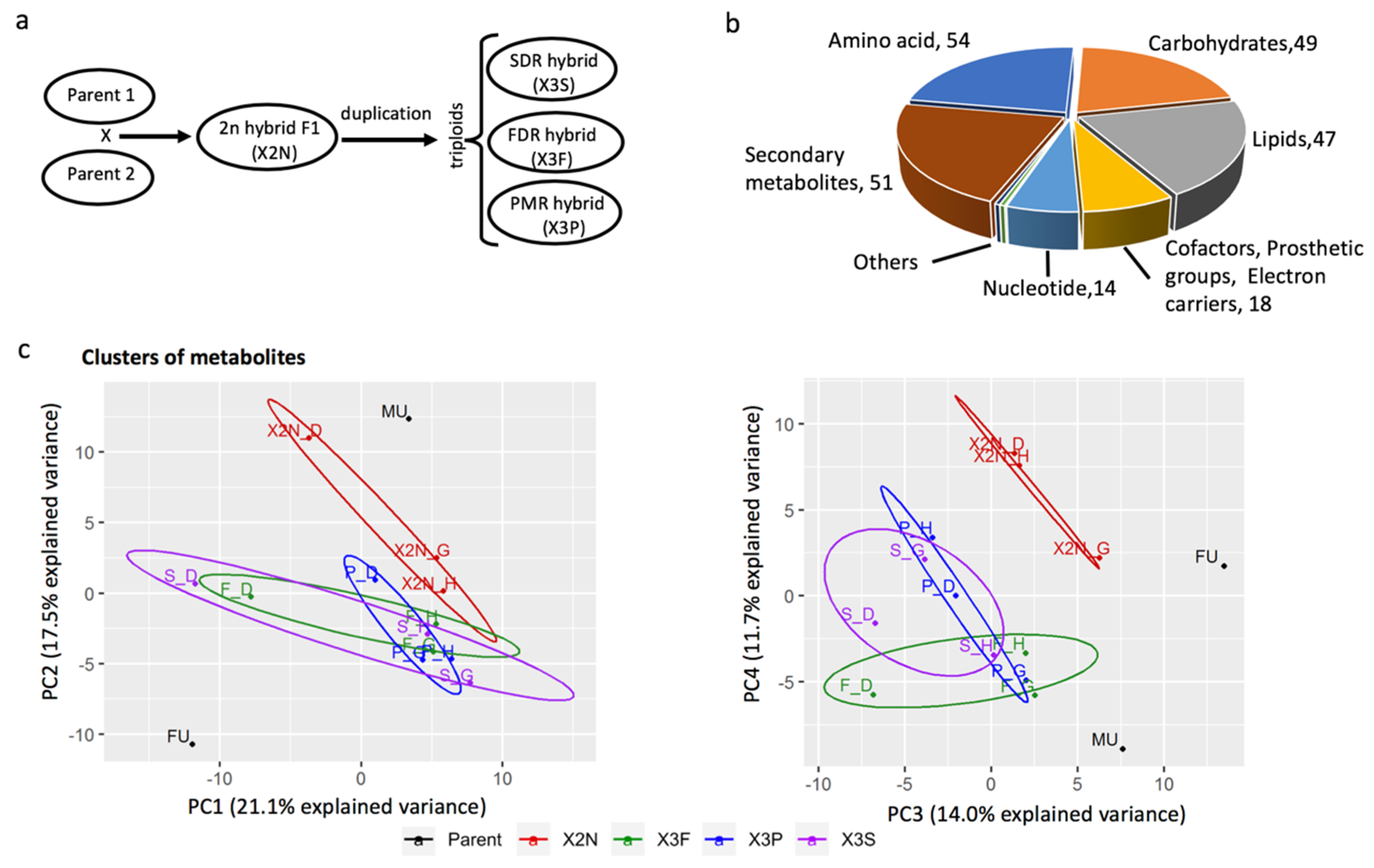 Forests 10 01091 g001