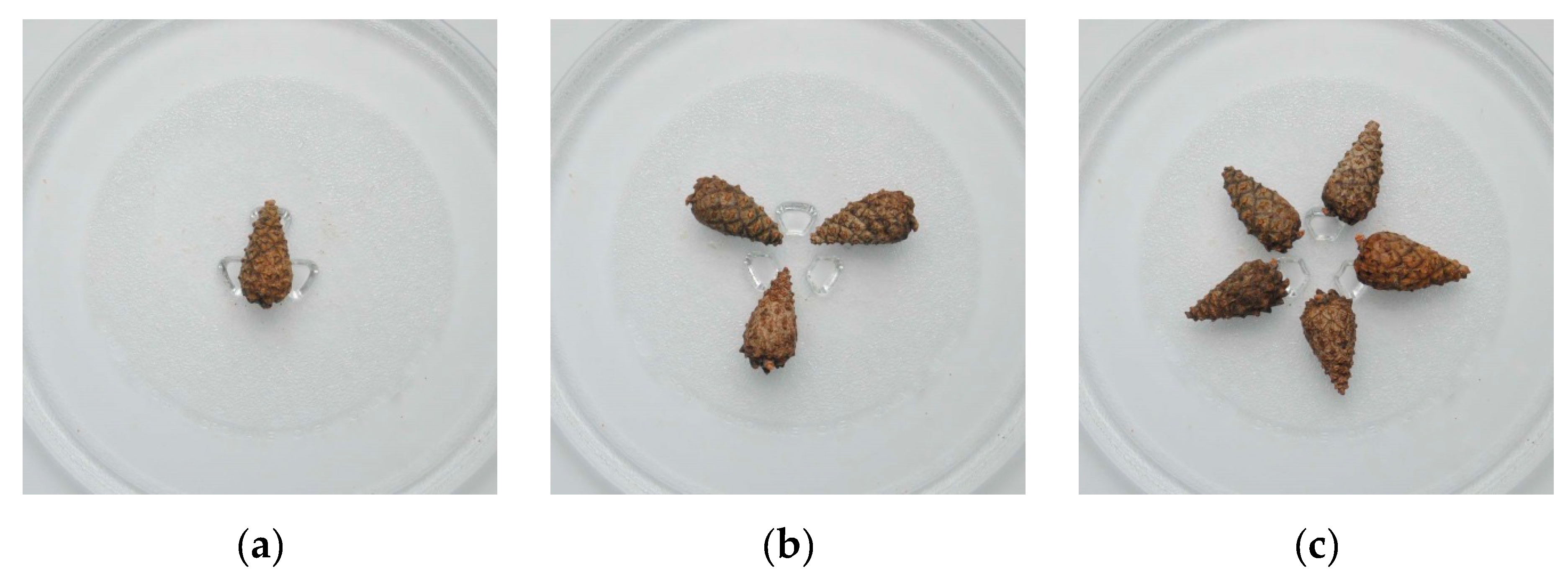 Forests 10 01108 g002 Forests 10 01108 g002