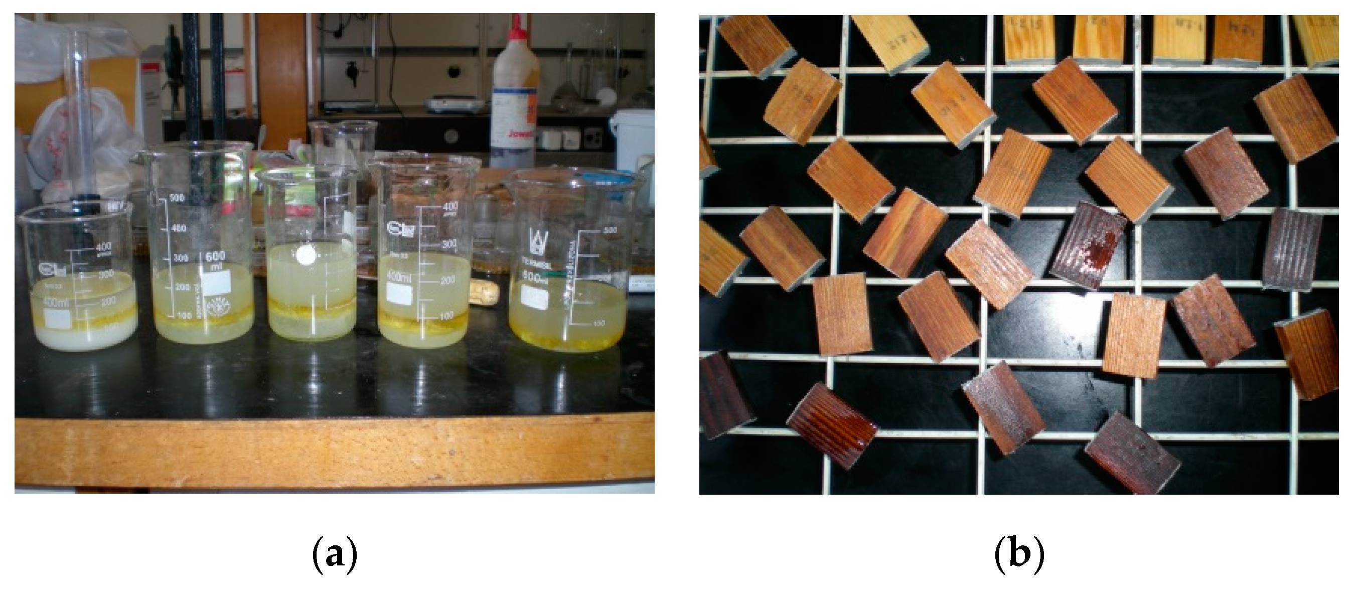 Forests 10 01111 g001 Forests 10 01111 g001