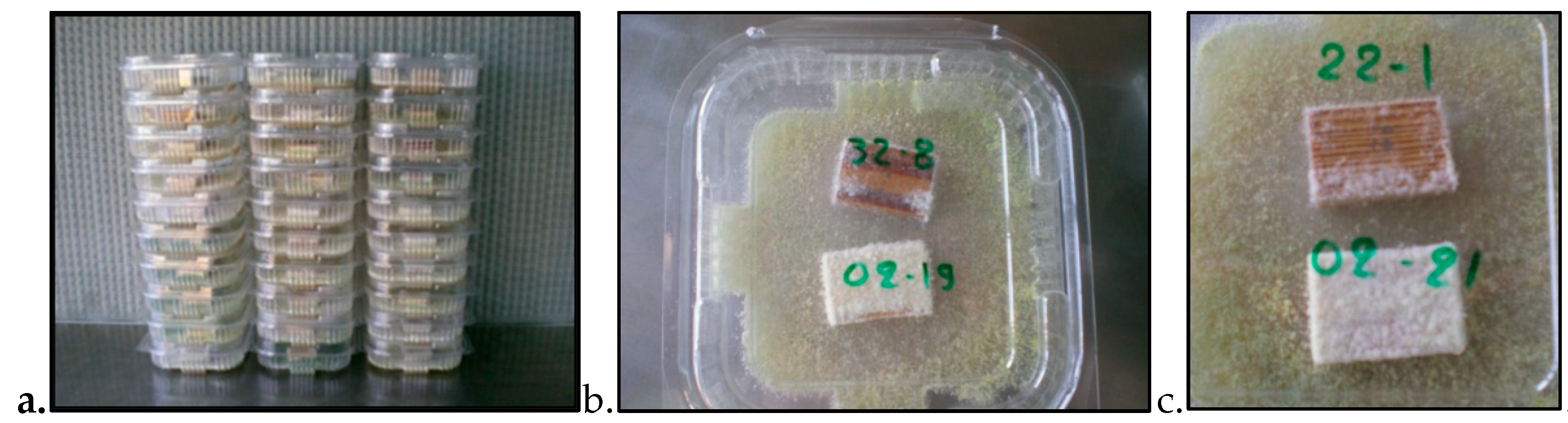 Forests 10 01111 g006 Forests 10 01111 g006