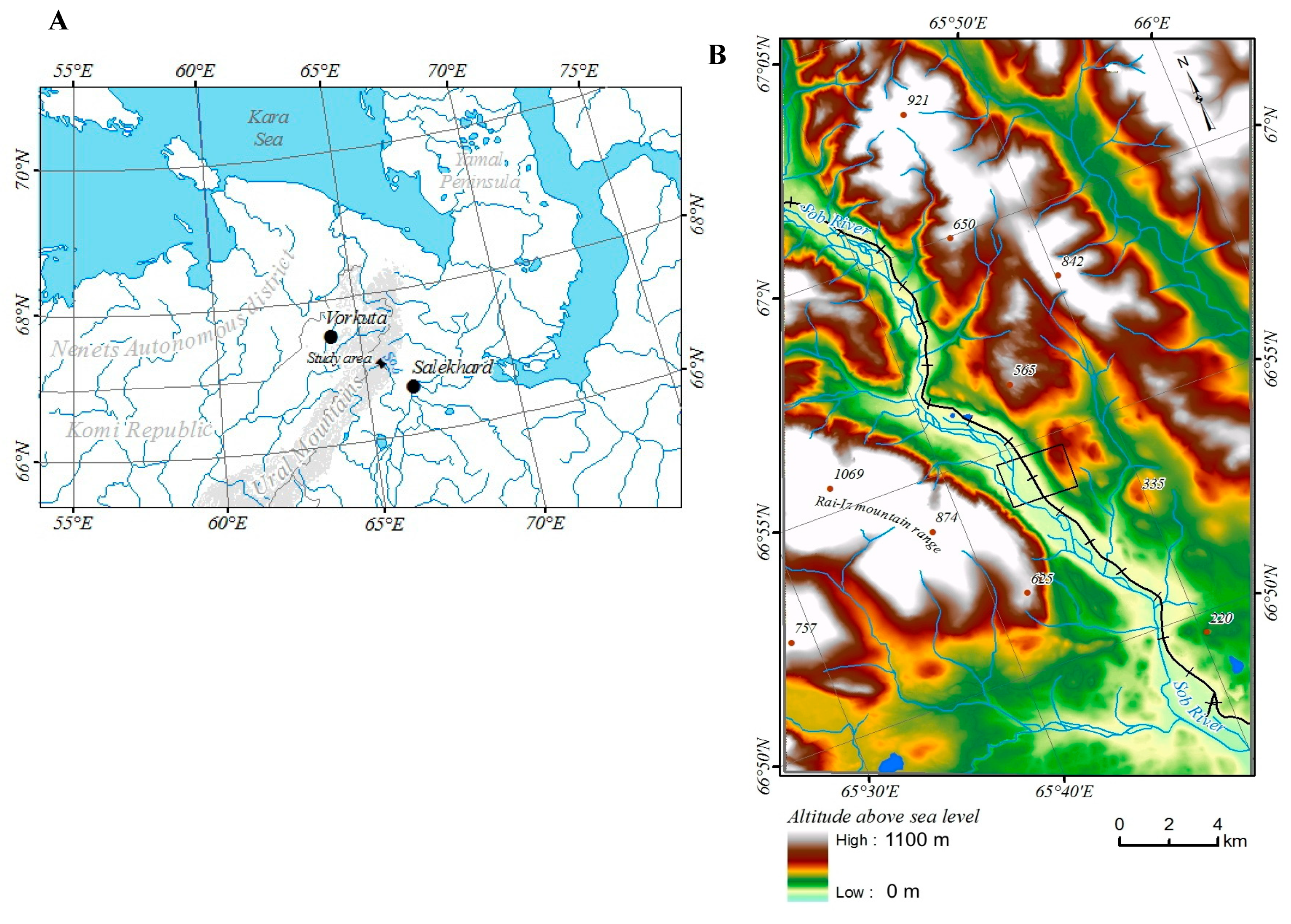 Forests 10 01112 g001