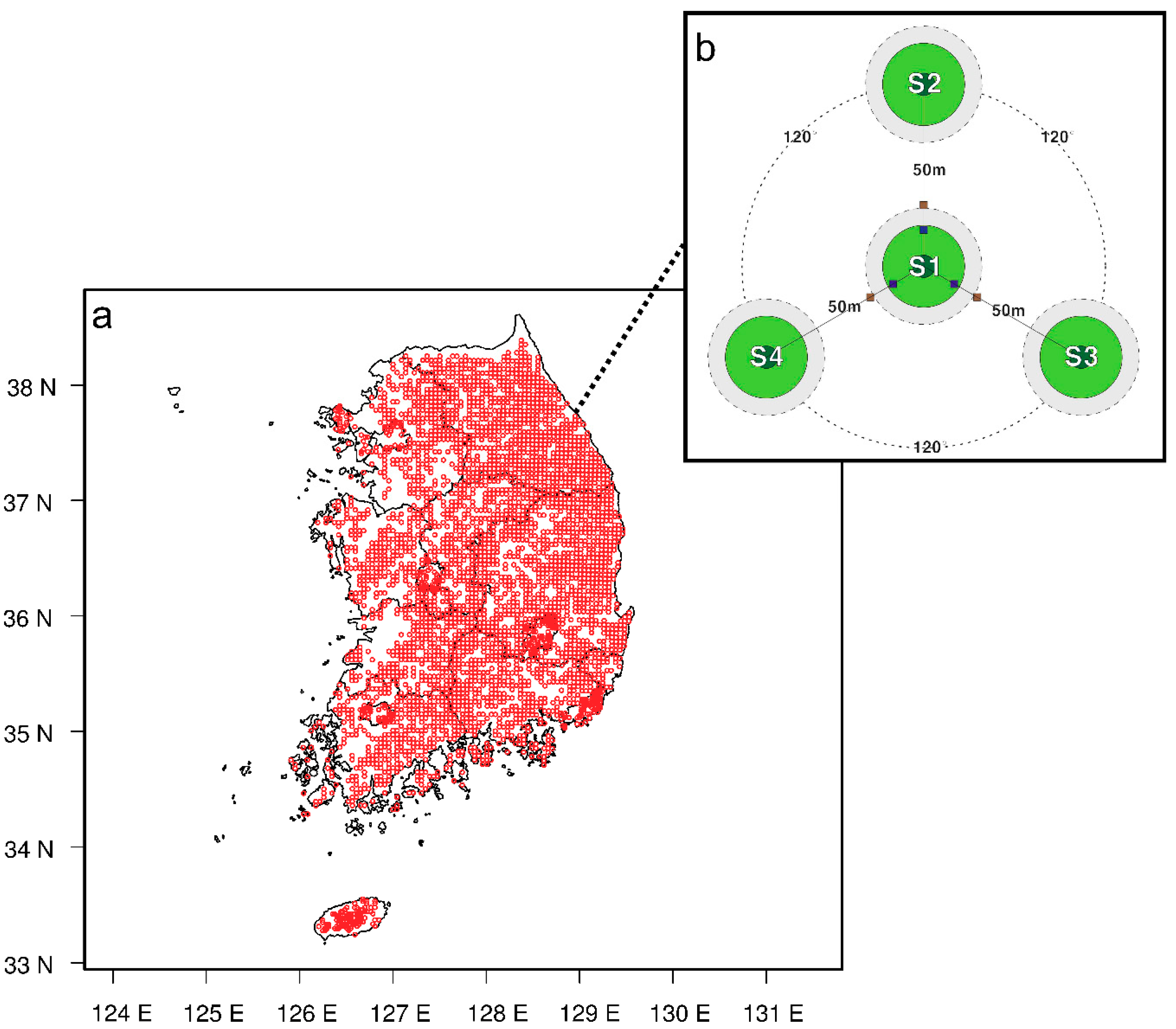 Forests 10 01113 g001 Forests 10 01113 g001