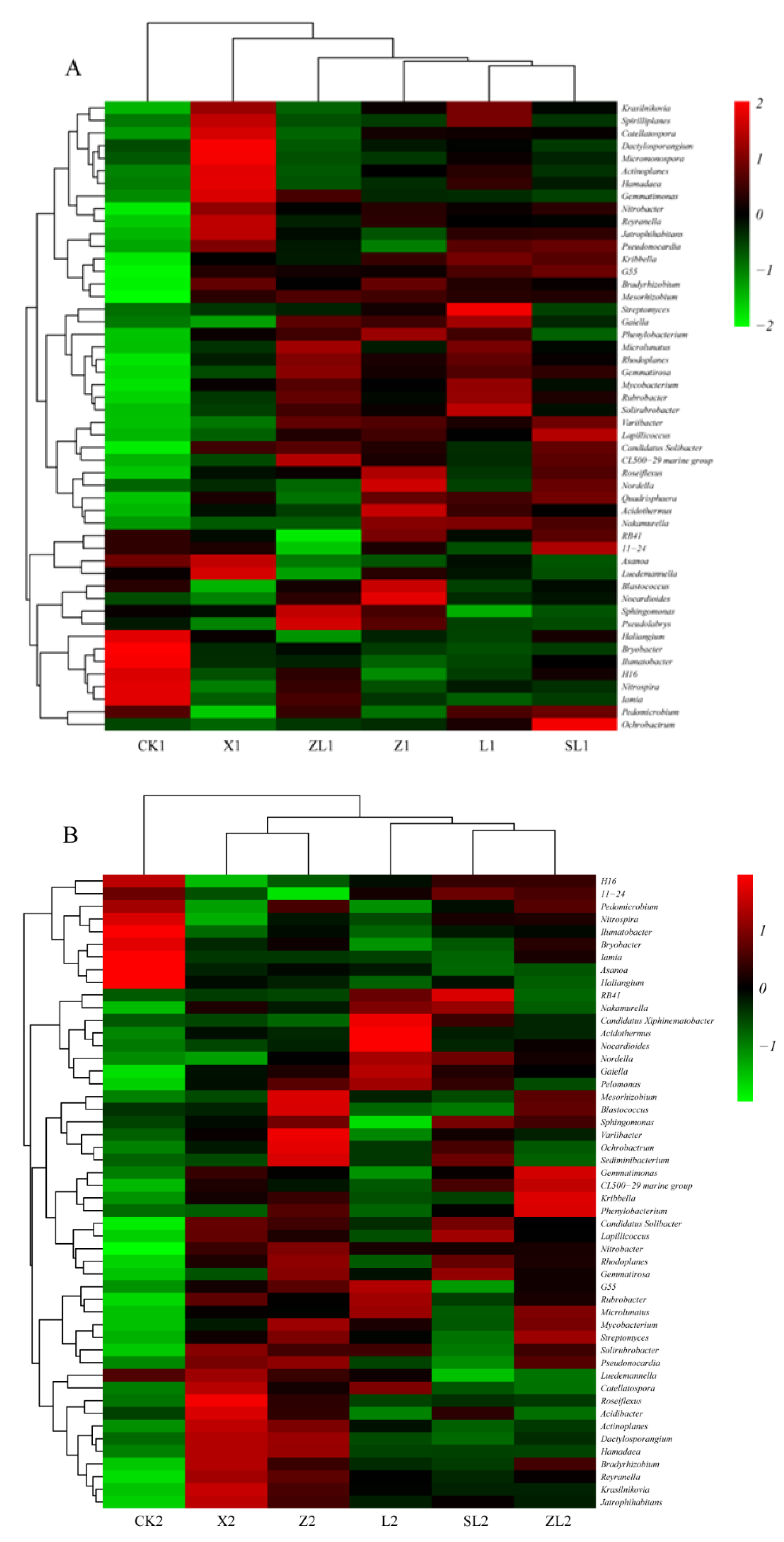 Forests 10 01115 g003 Forests 10 01115 g003
