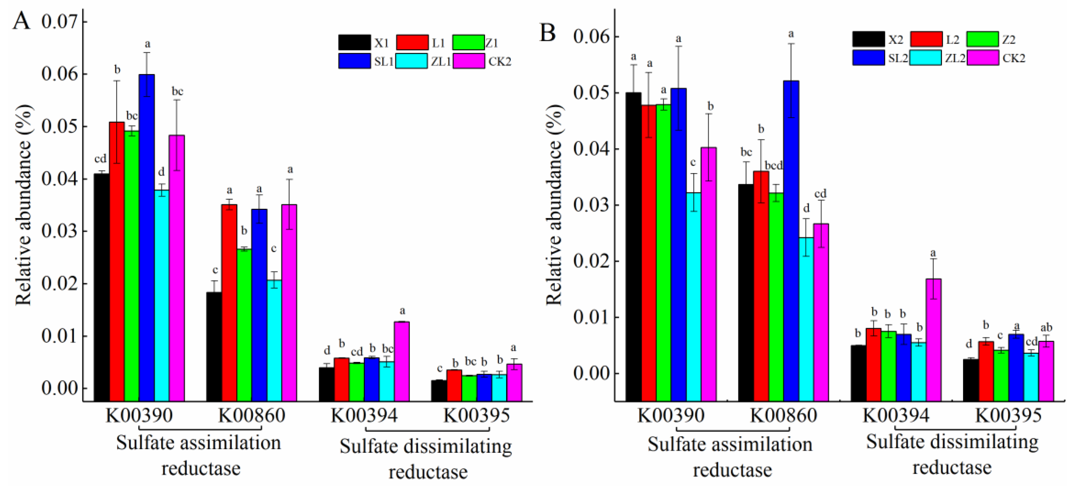 Forests 10 01115 g012 Forests 10 01115 g012