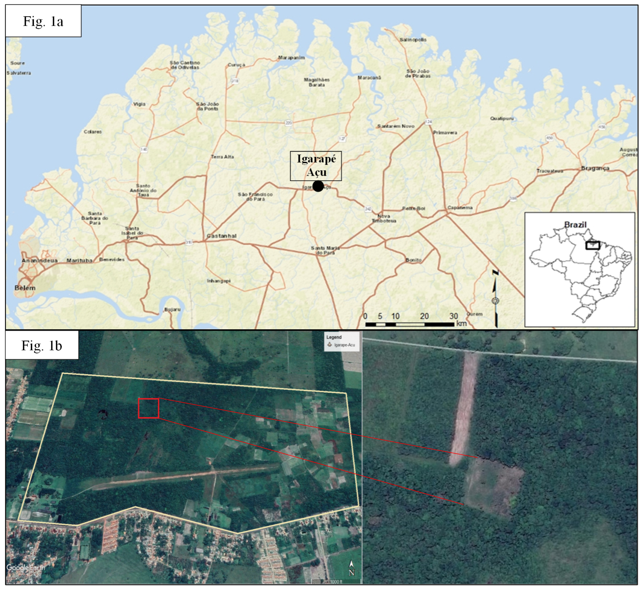 Forests 10 01125 g001