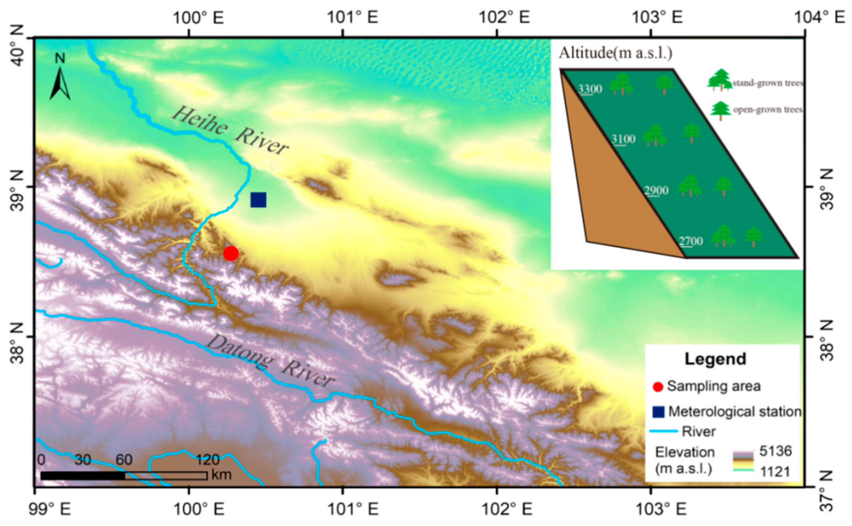 Forests 10 01133 g001 Forests 10 01133 g001
