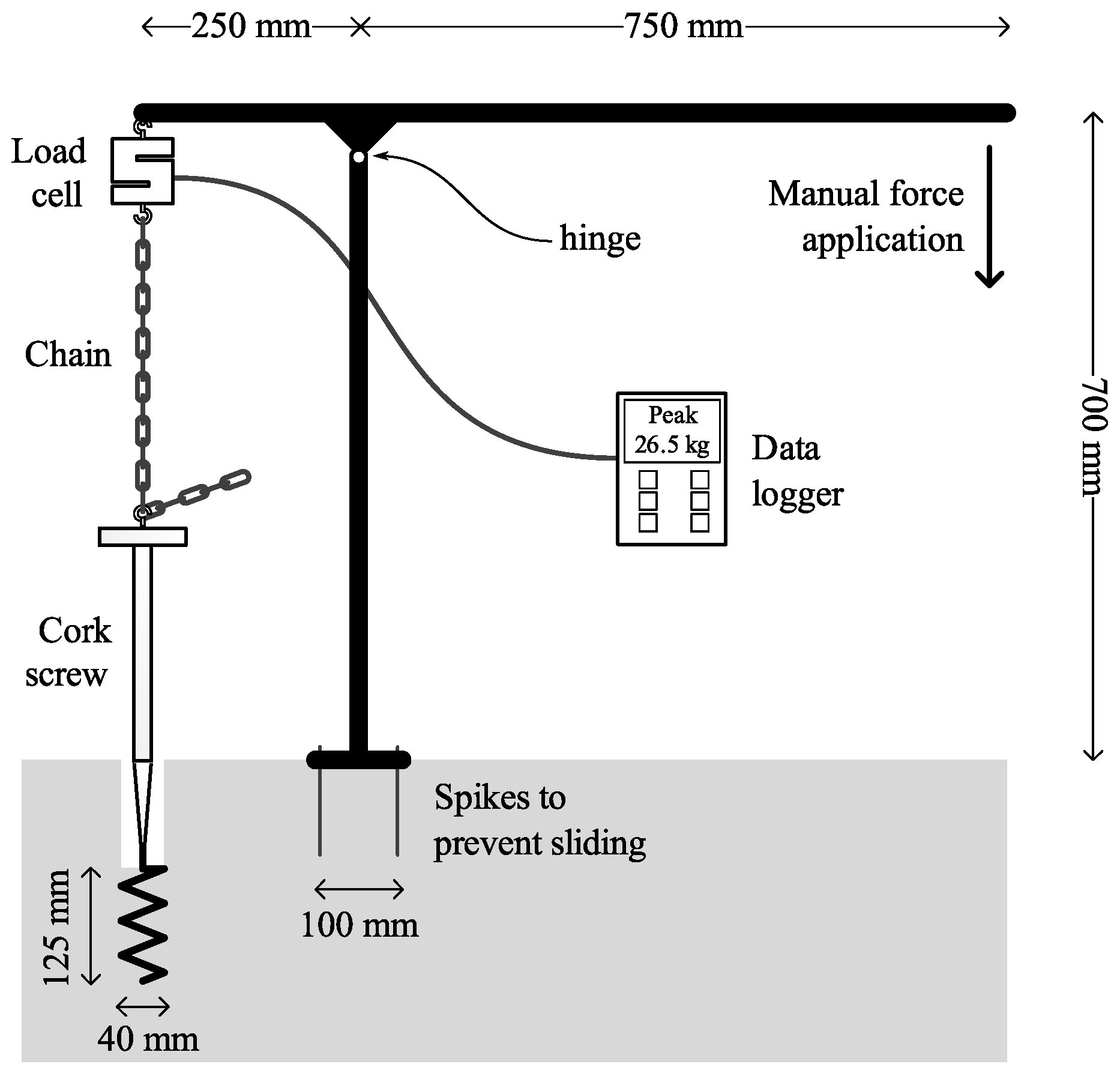 Forests 10 01135 g004